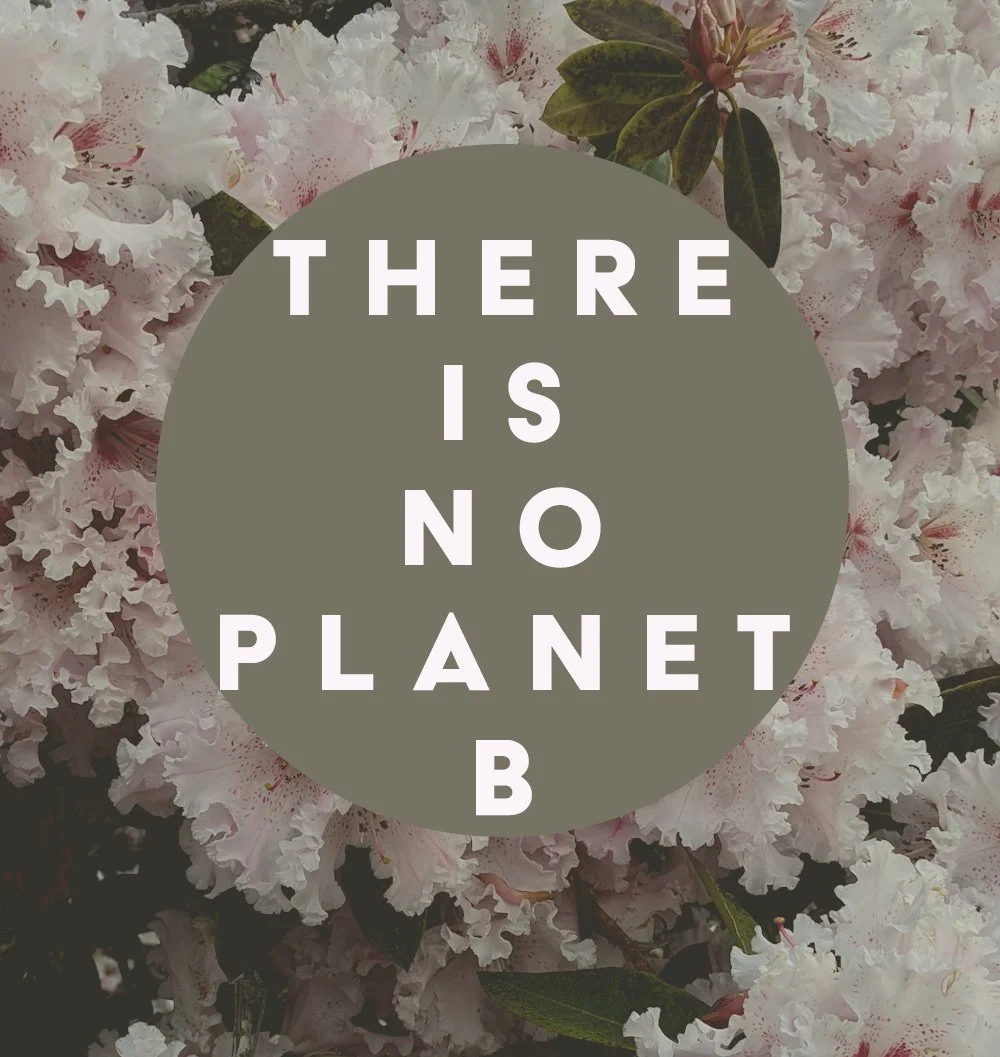 A background of white and pink azalea flowers with a circular gray overlay and white text that reads 'THERE IS NO PLANET B'.