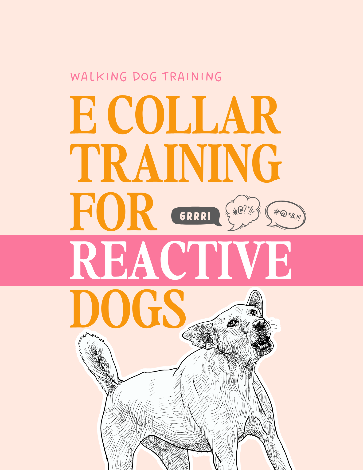 The Guide to E Collar Training for Reactive Dogs