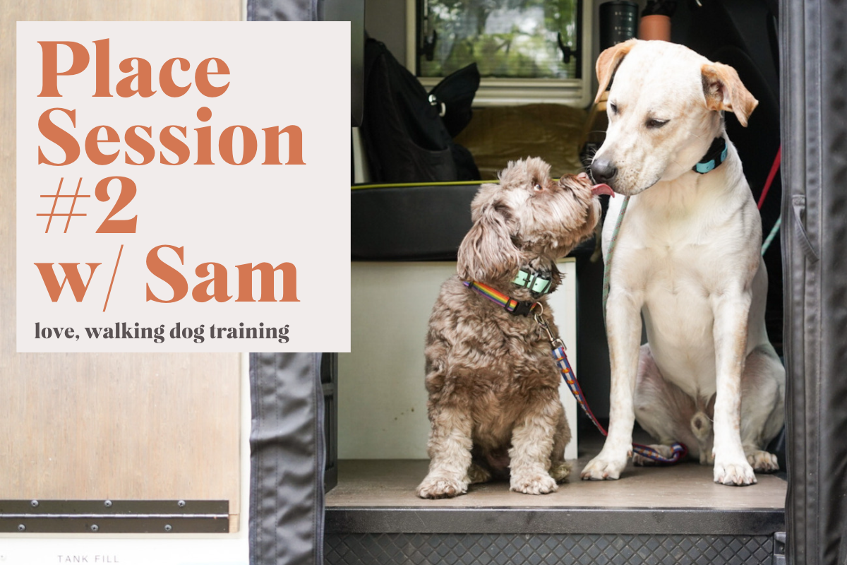 place #2 with sam cover.png