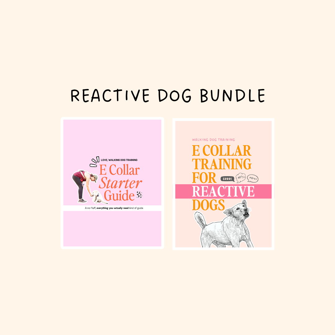 Reactive Dog Bundle
