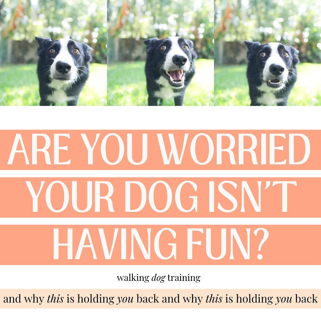 What do YOU think?
.
I hear this one so often that I thought it was time to bring it to a graphic!
.
Have you caught yourself saying any of these things? Let me know &hearts;️
.
Boundaries and accountability with your dog ultimately leads to a much m