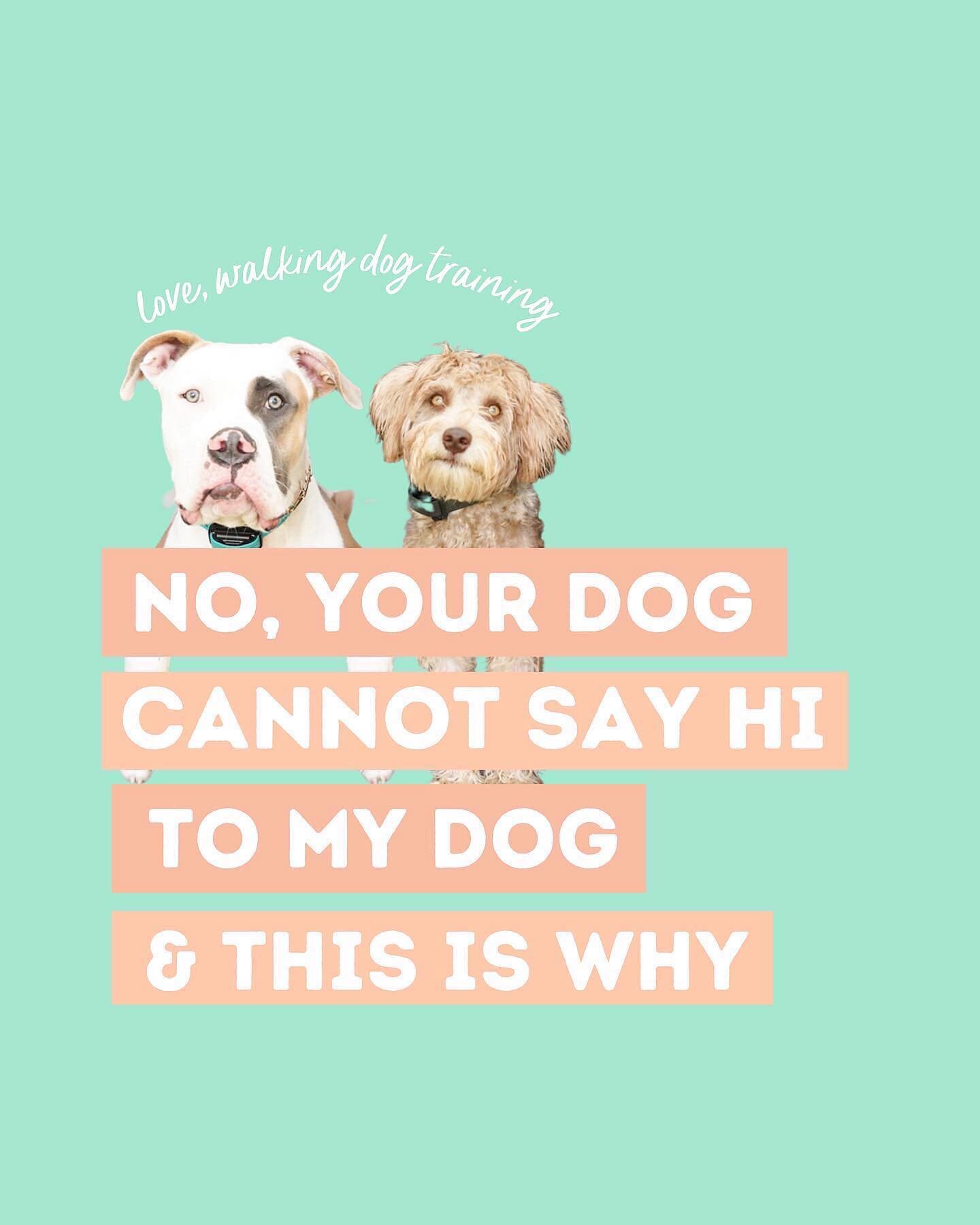 That&rsquo;s a N O for me 😍🤌🏼&hearts;️
.
Any others you&rsquo;d like to add to the list?
.
Feel free to share and save this for reference 🥳
.
Saying no to on-leash greetings does not make you mean.  It truly is what&rsquo;s best for most dogs.  E