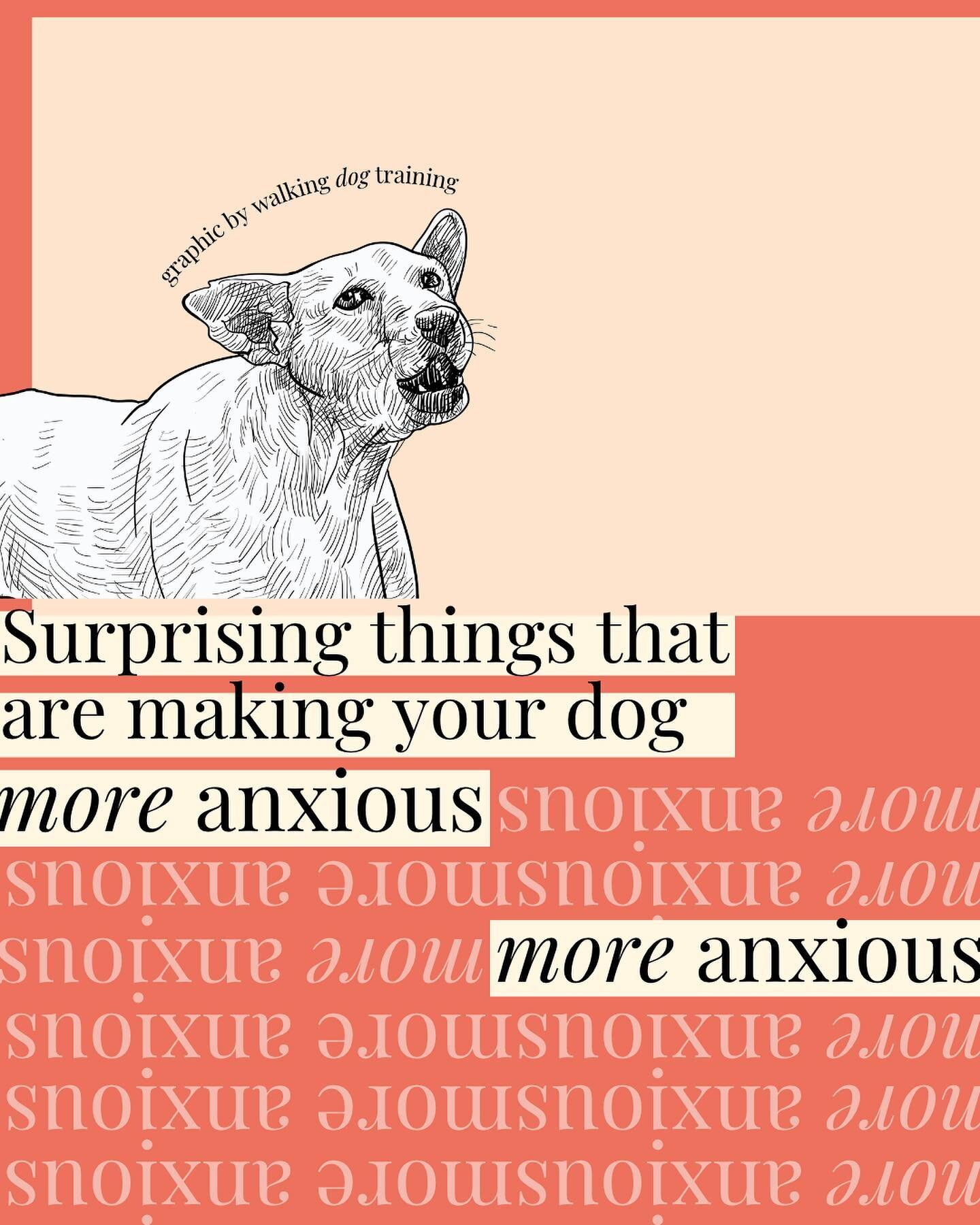 Do these surprise you?
.
Have you tried changing any of these things and saw a difference?
.
I would love to know! It&rsquo;s always so interesting hearing from you &hearts;️
.
.
.
.
.
.
.
#dogtraining #dogtrainingtips #separationanxiety