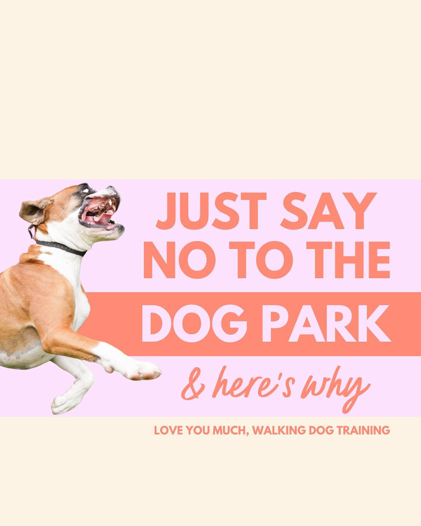 I hear it so often.
.
My dog is great at the dog park, but terrible on leash.
.
Or an owner wishes her dog cared more about her than random dogs on the walk.
.
And so many of these owners (maybe yourself included - no judgement) also take their dogs 