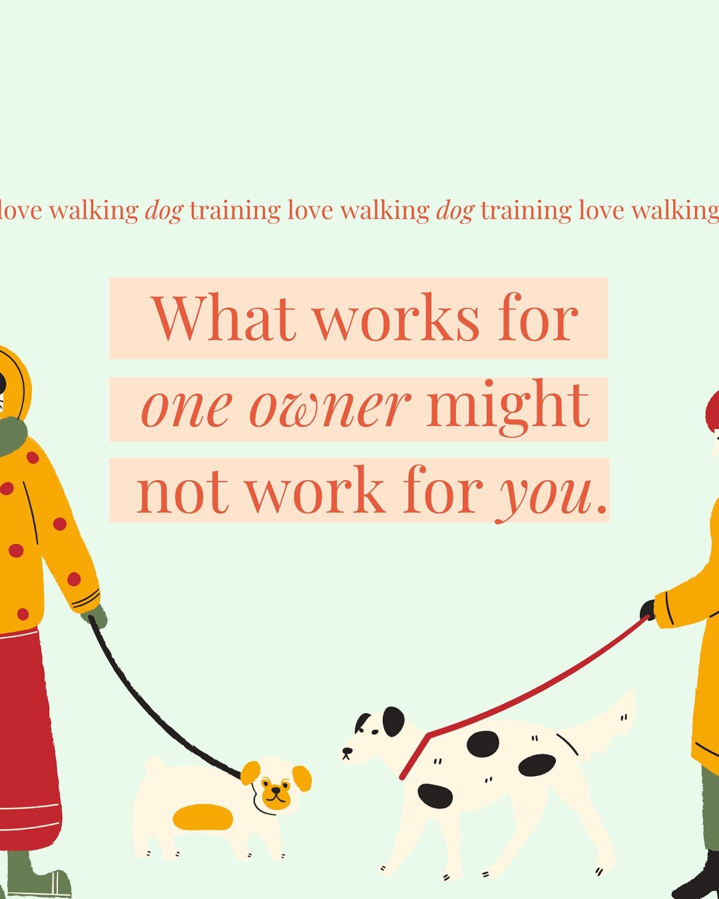 Which one can you relate to?
.
I think it&rsquo;s SO important to talk about how training or life will look different depending on who your dog is.
.
They are all so different!
.
It can feel as if you&rsquo;re doing something wrong if what worked for