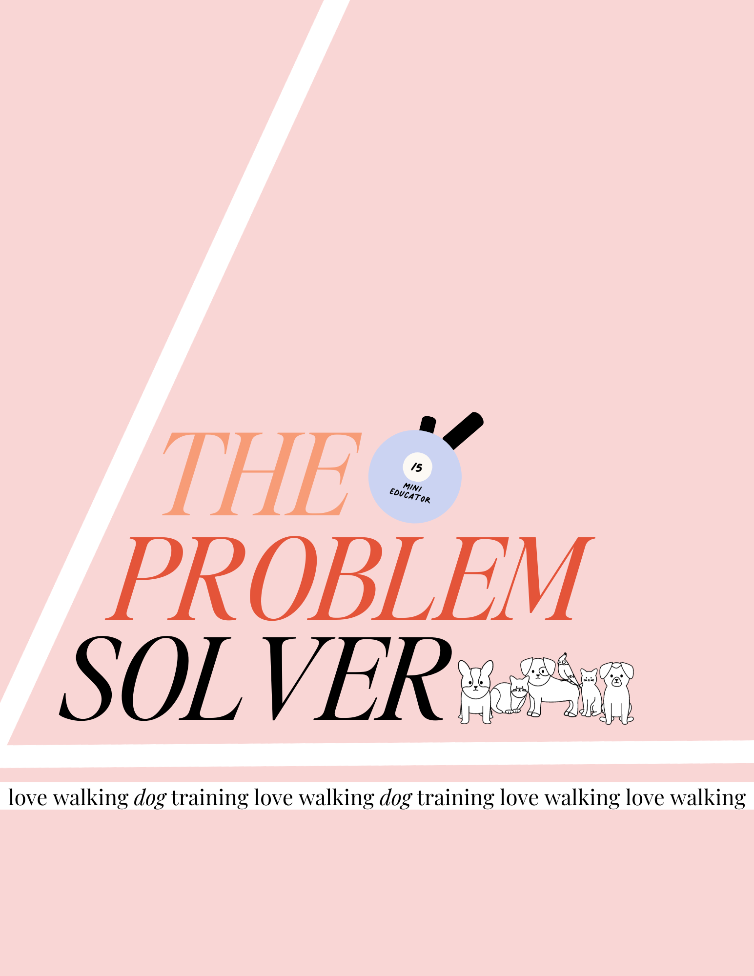 The Problem Solver Guide