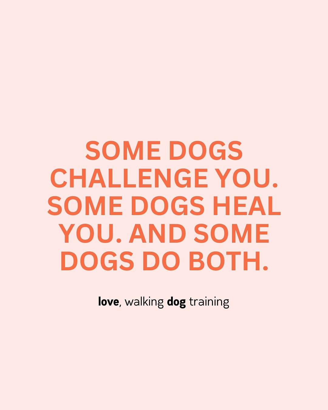 Sometimes things look different than expected.
.
I&rsquo;m a dog trainer because a little over 8 years ago, we got a dog that was SO different than I ever experienced. He left me crying on the bathroom floor, frustrated, overwhelmed, and on the verge