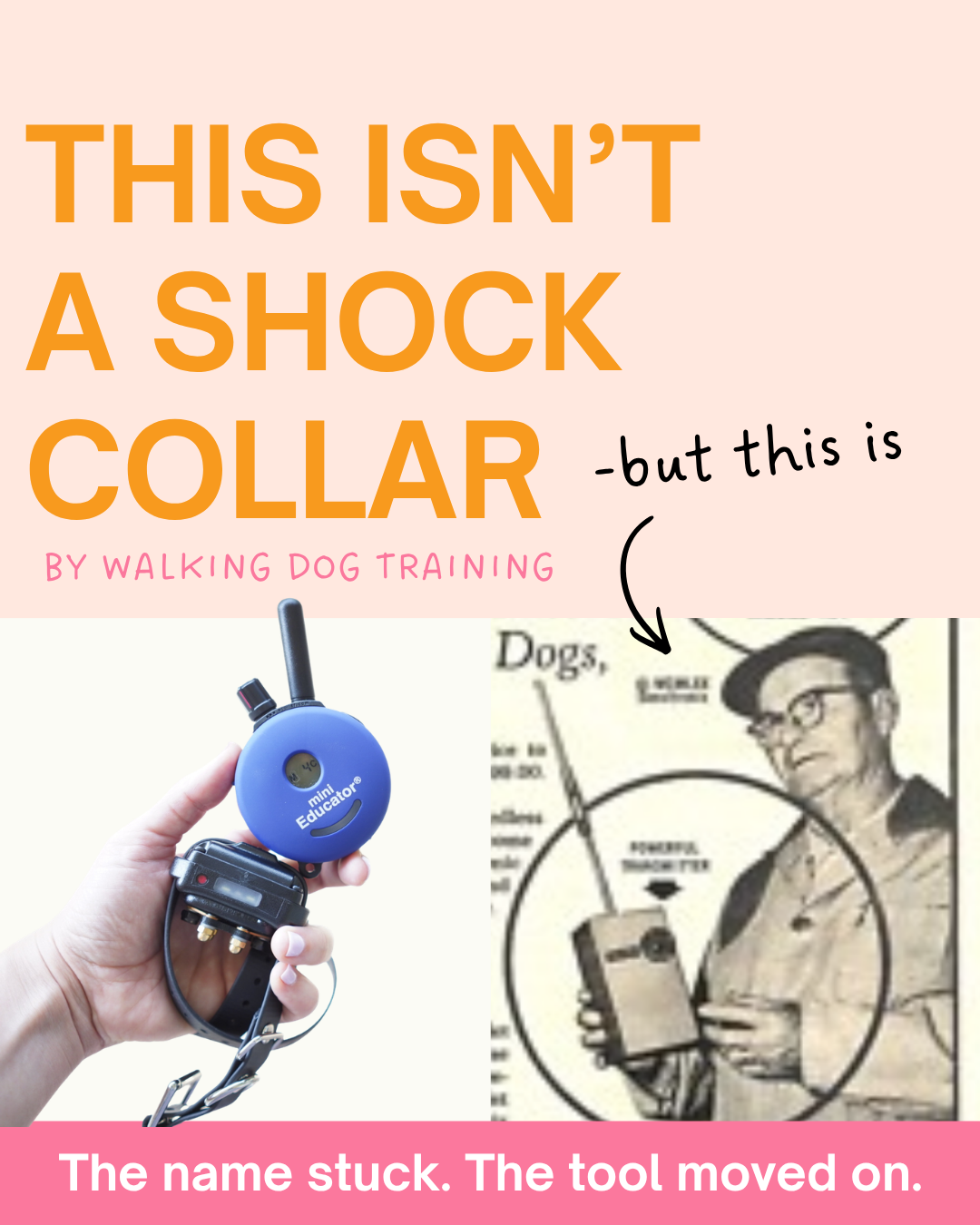 This Isn't a Shock Collar — But This Is…