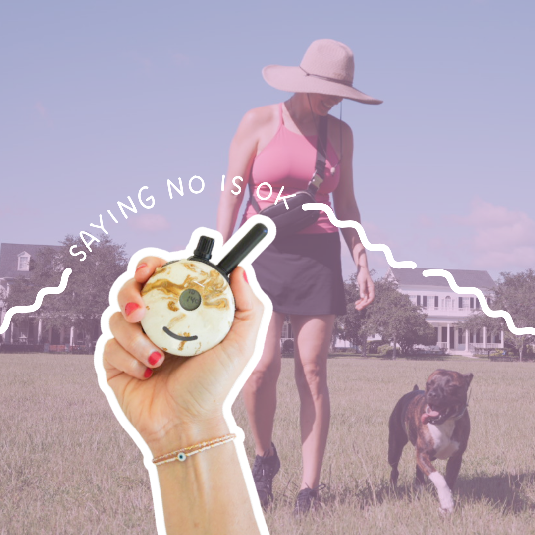 Why Saying No to Your Dog Isn’t a Bad Thing
