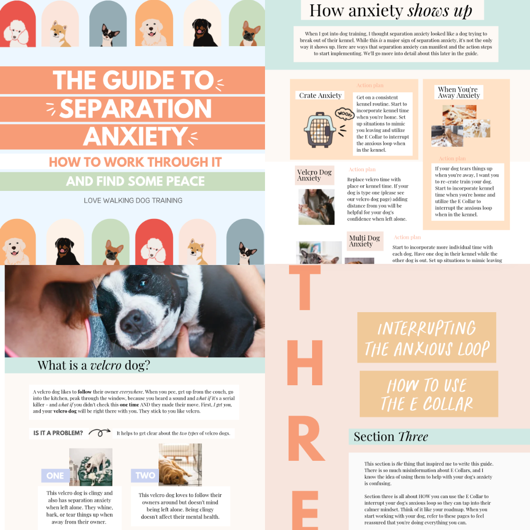 Untitled design-2.png