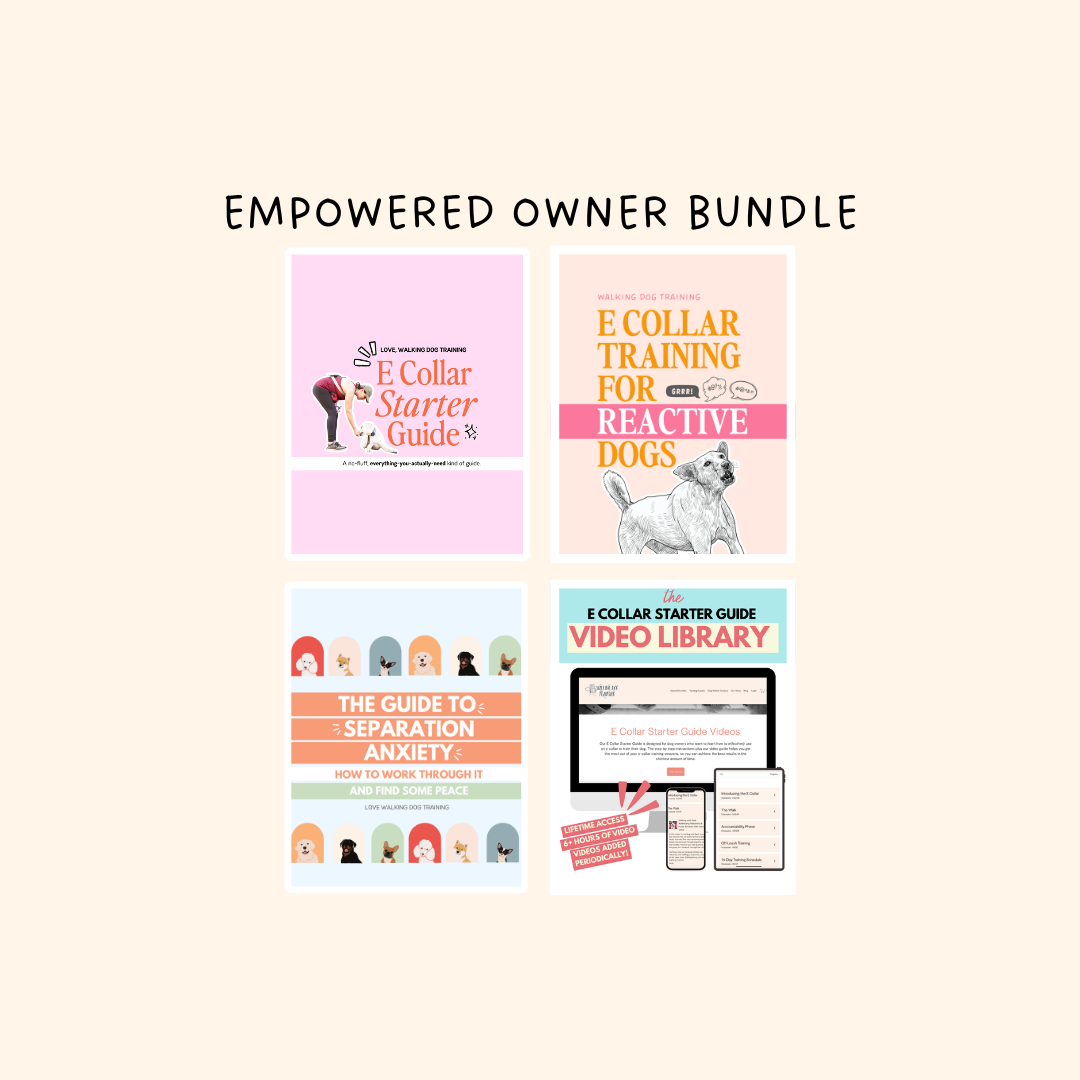 The Empowered Owner Bundle