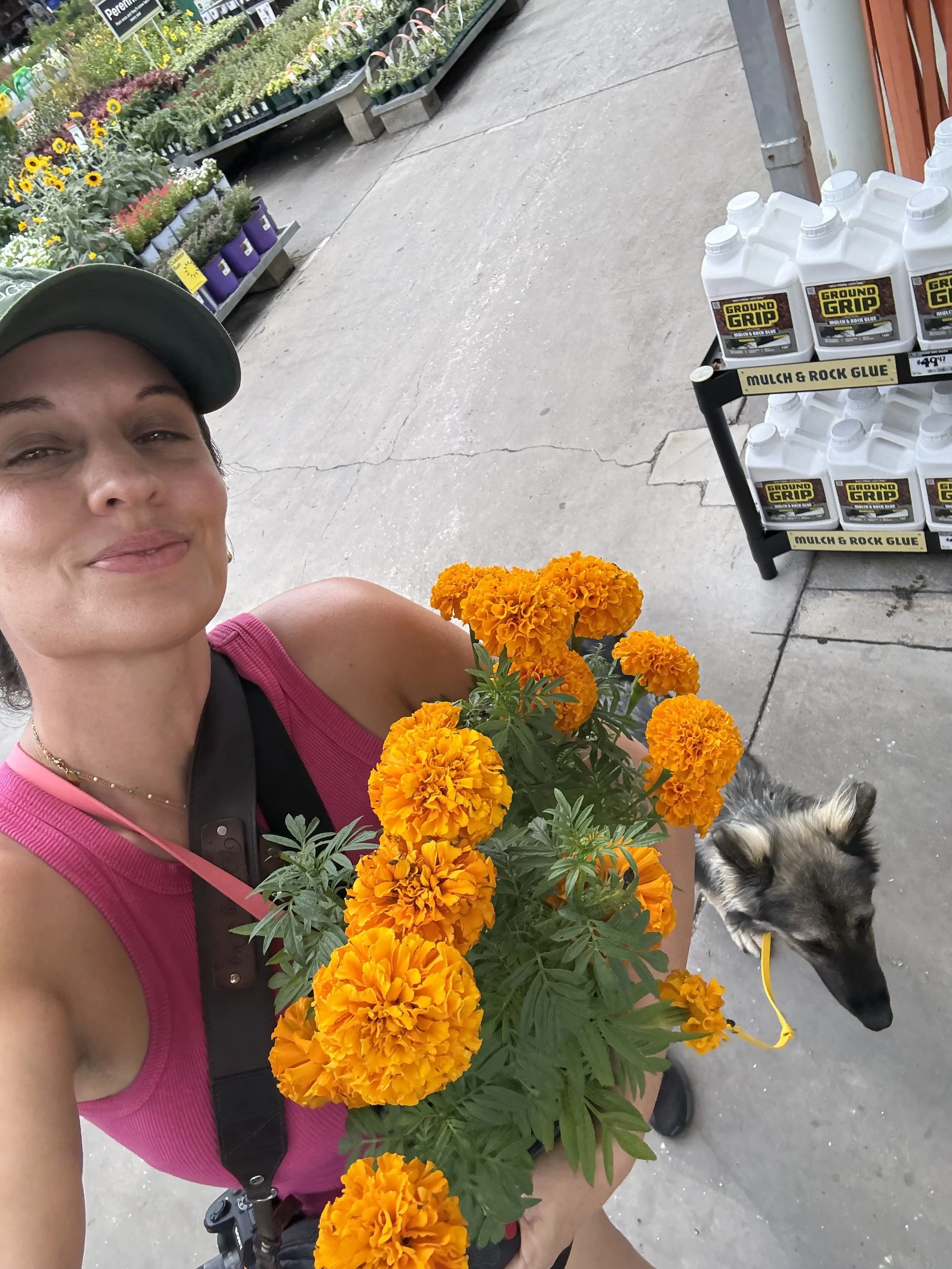Dog trainer walking a dog in Home Depot and holding flowers.