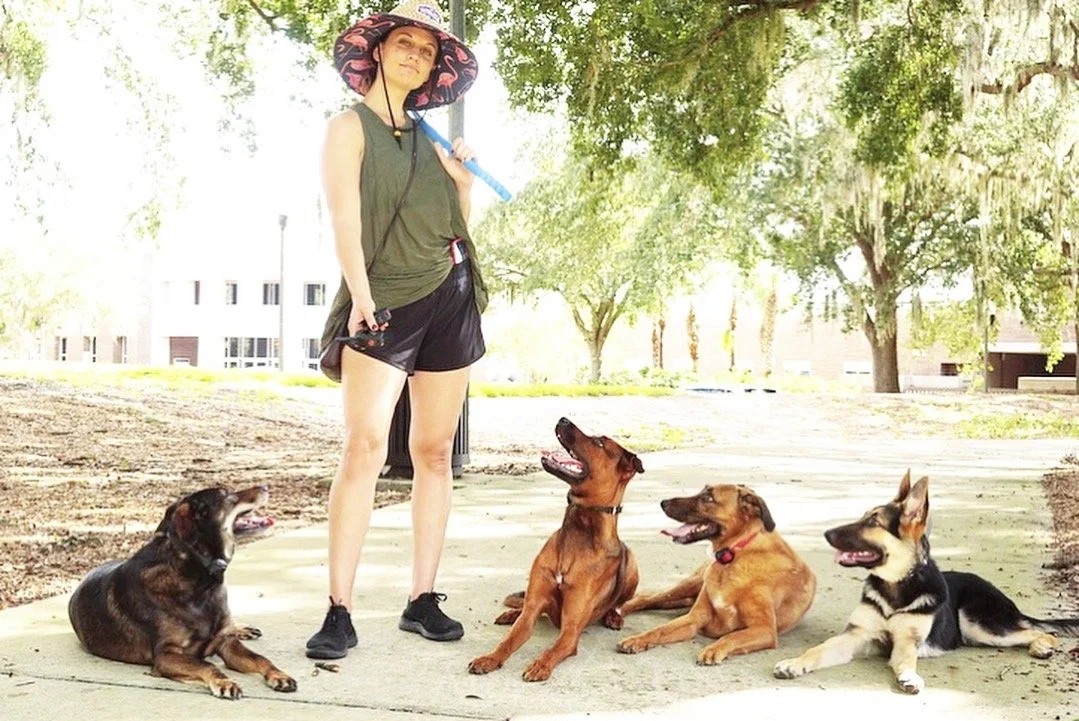 Dog trainer with her dogs in a park.