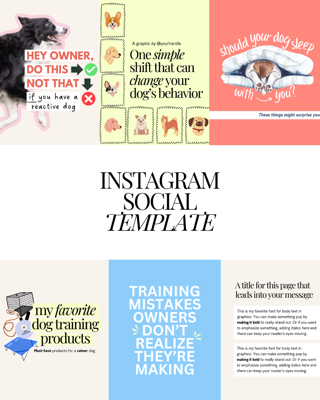IG trainer template for site.png