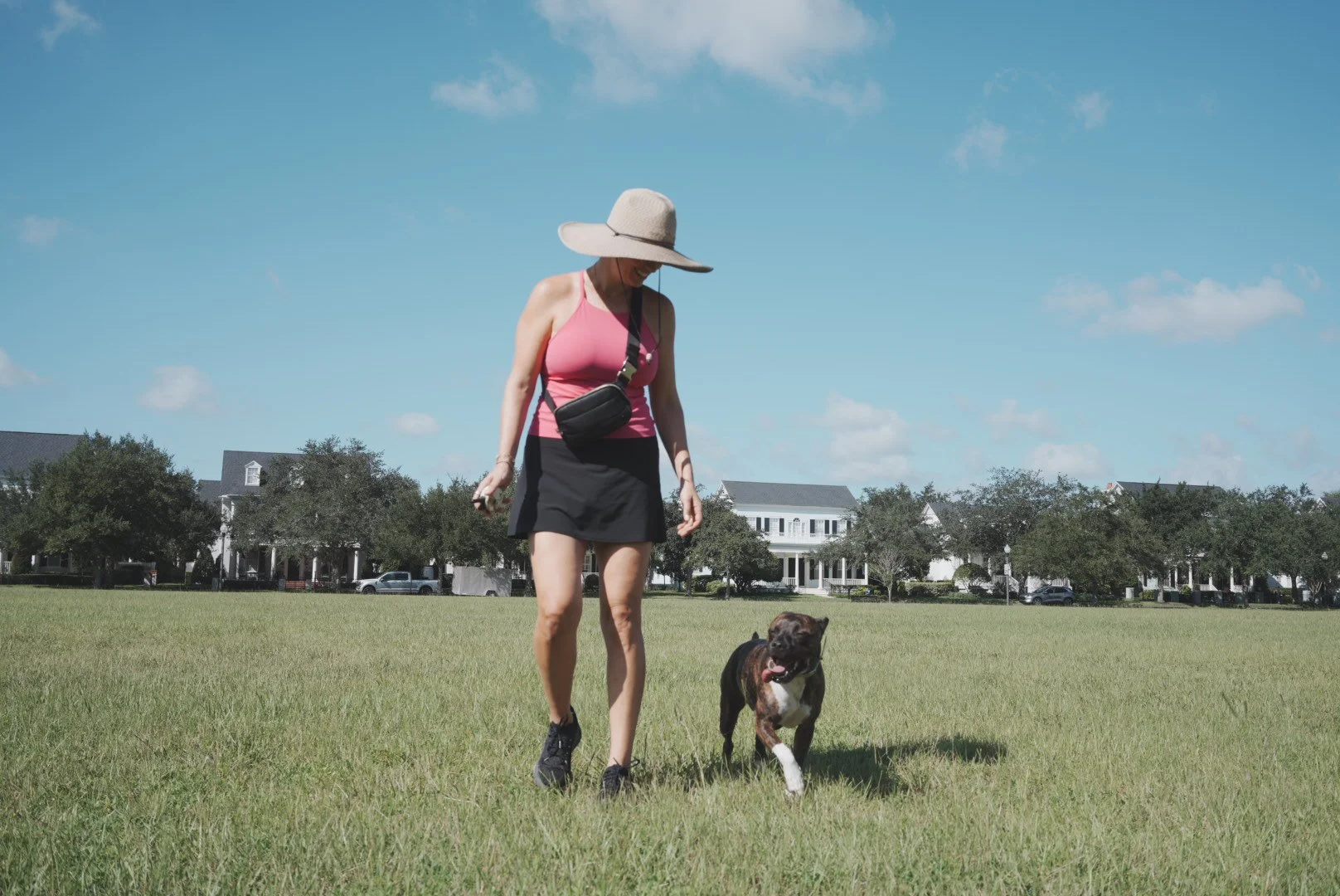 Dog trainer working with a dog during e-collar training