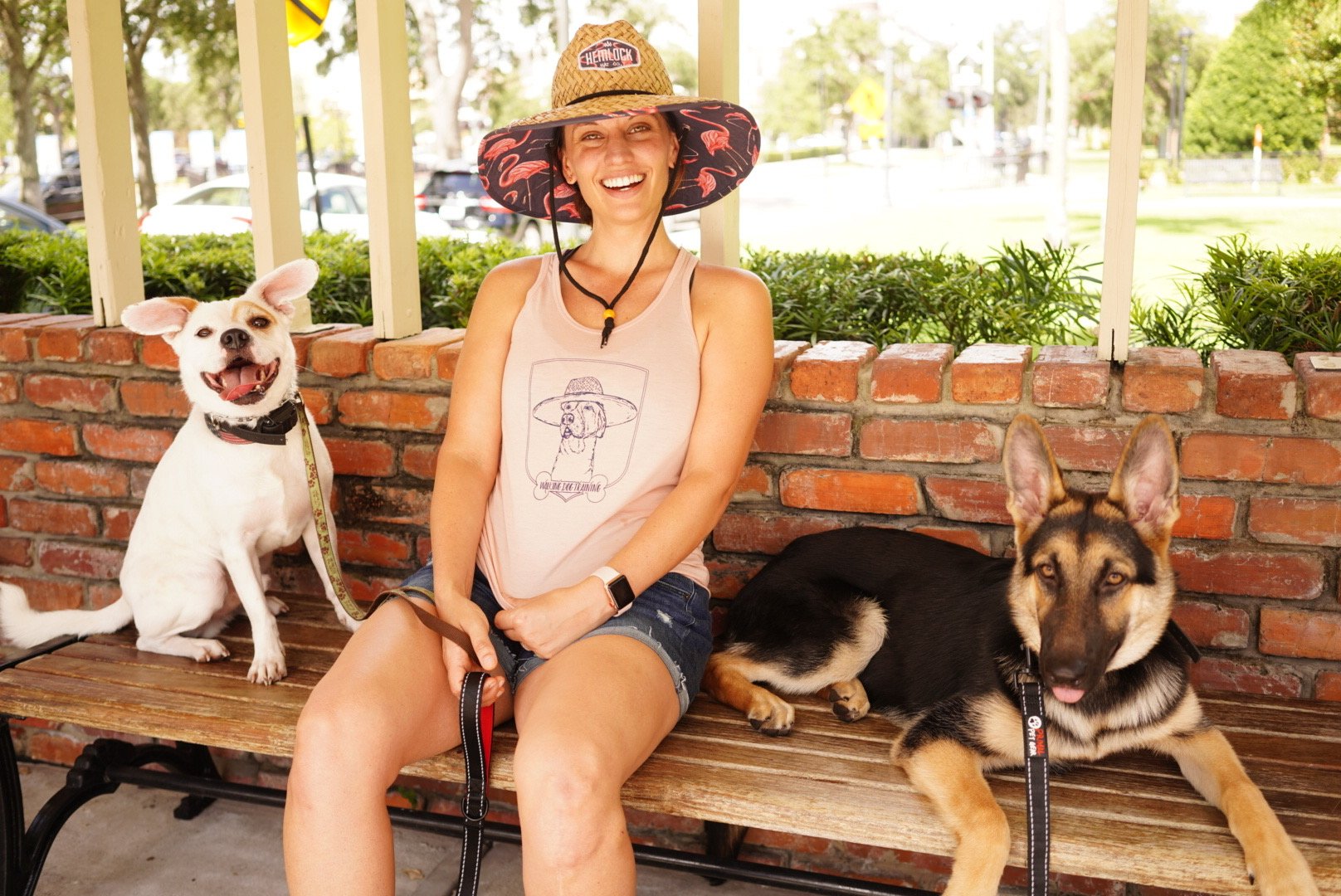 Dog trainer wearing a hat and sitting on a bench with two dogs.