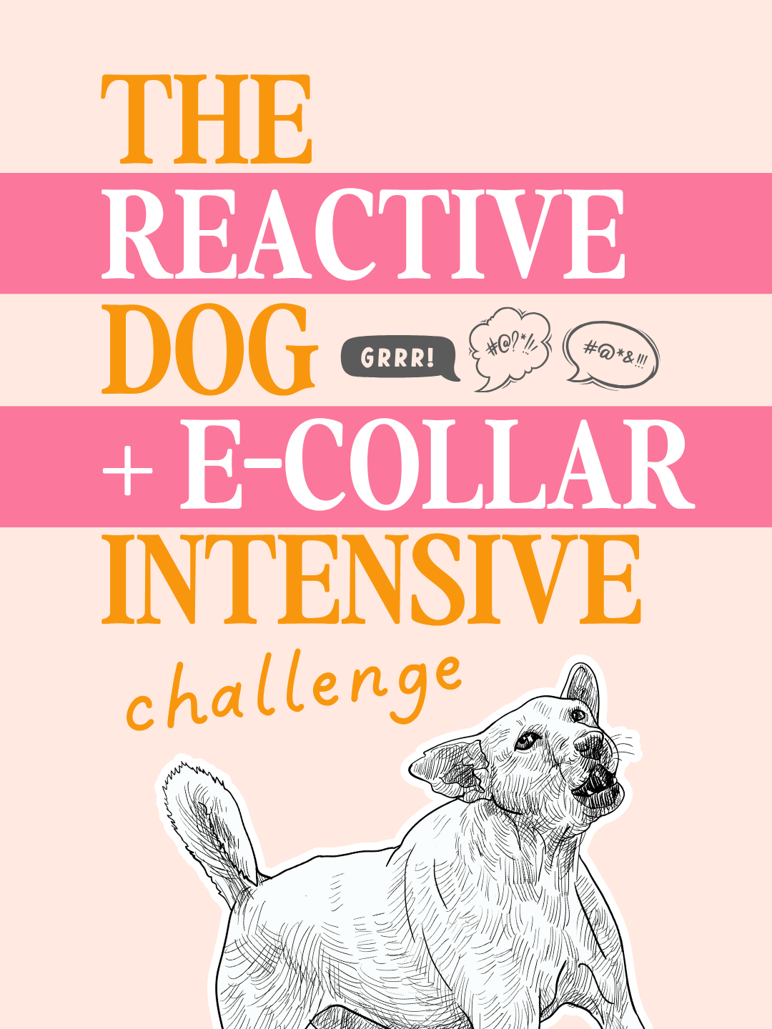 The Reactive Dog + E-Collar Challenge