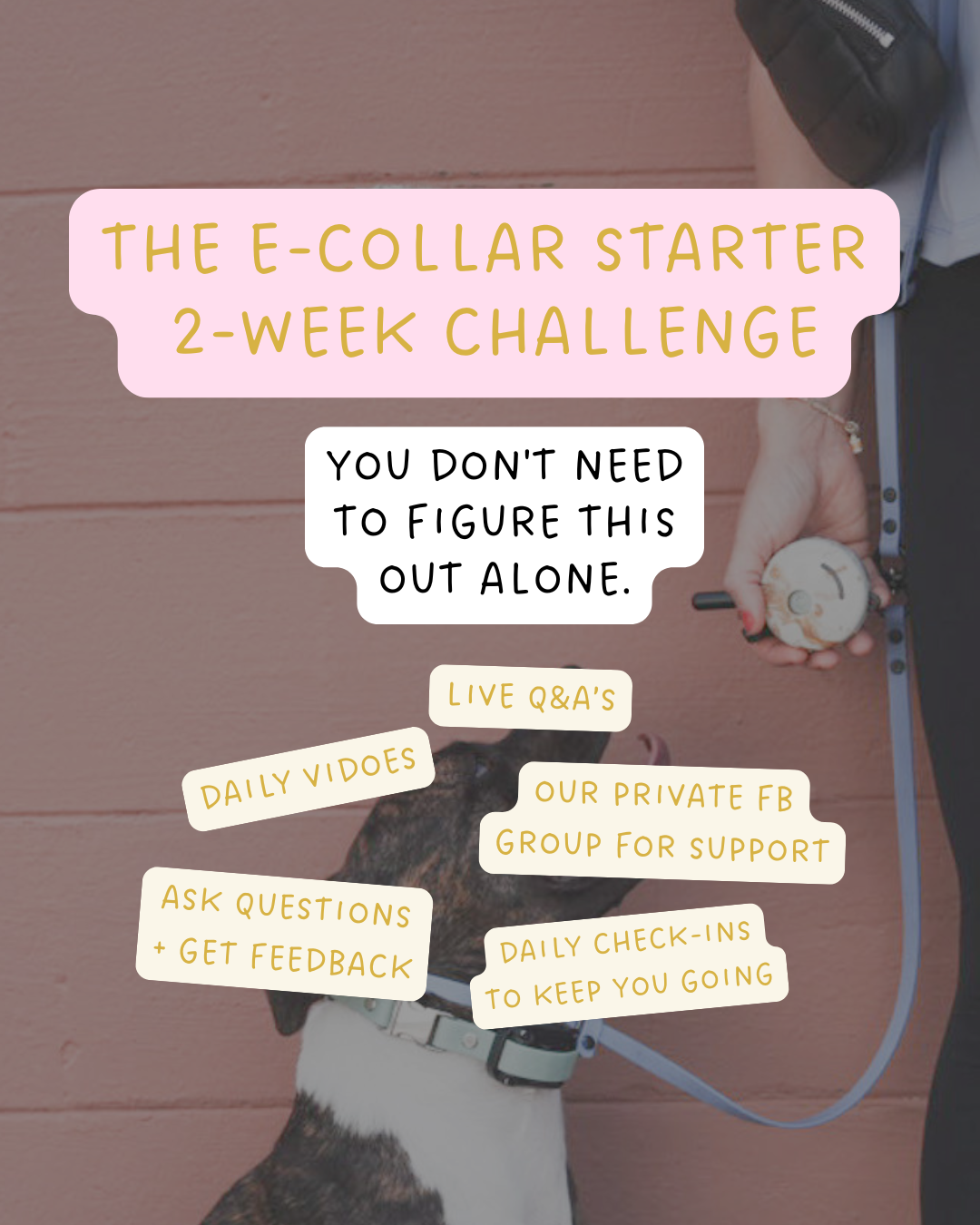 challenge graphic for website.png