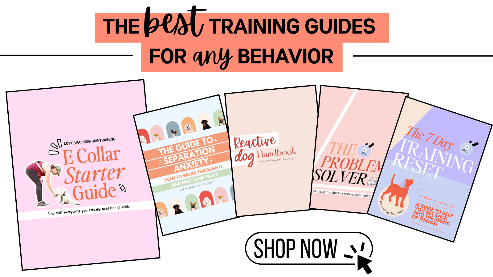 Walking Dog Training- Shop Our Guides