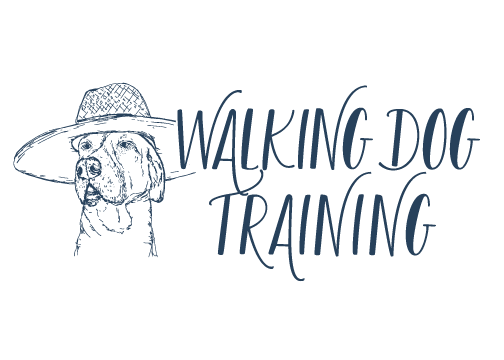 Walking Dog Training