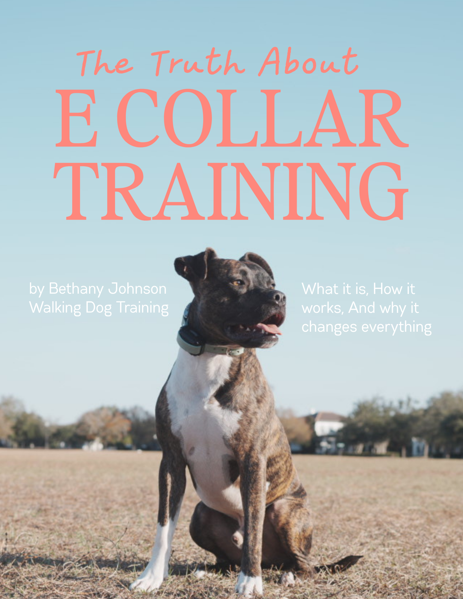 e collar truth book cover.png