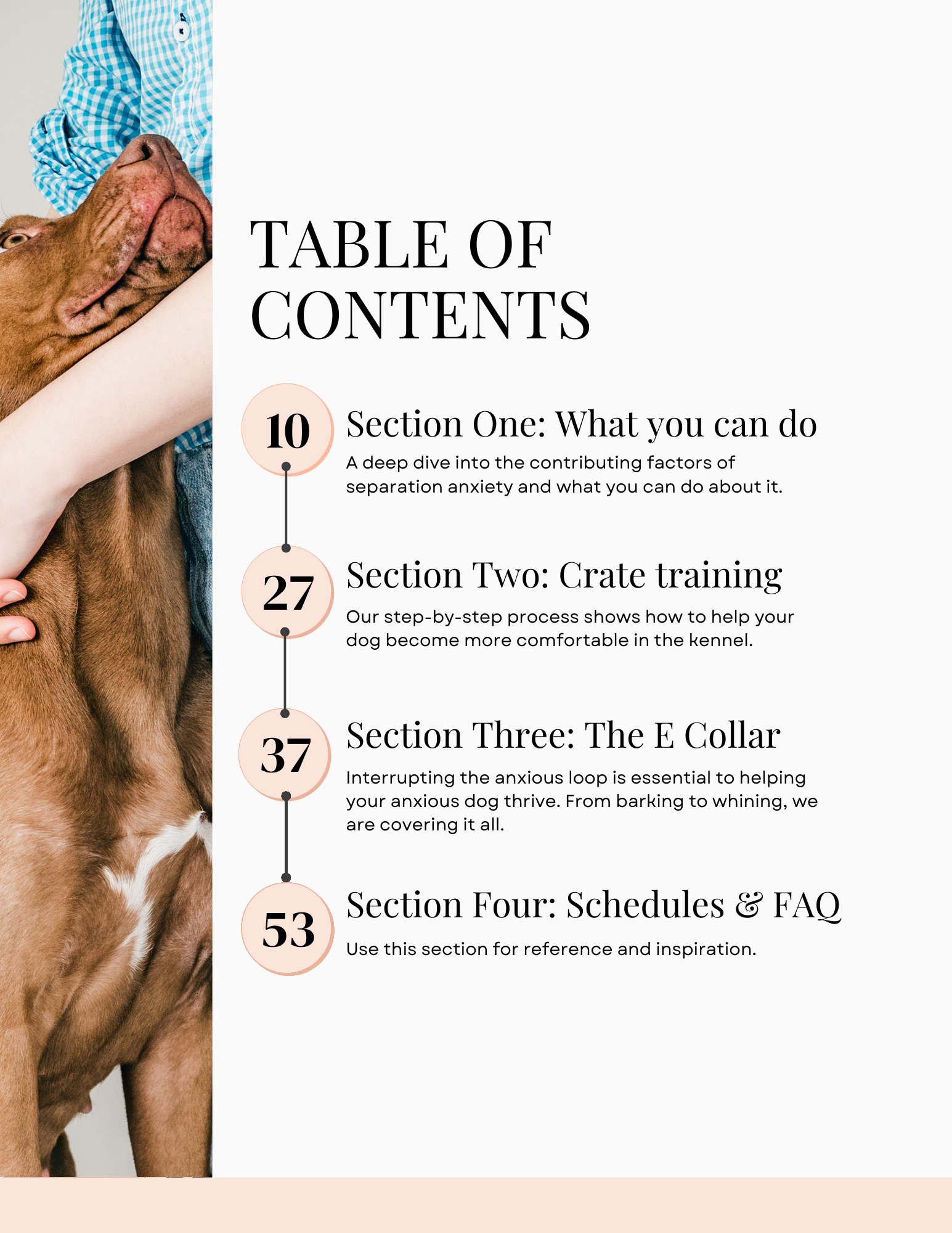 guide to separation anxiety (updated '26)-2.png