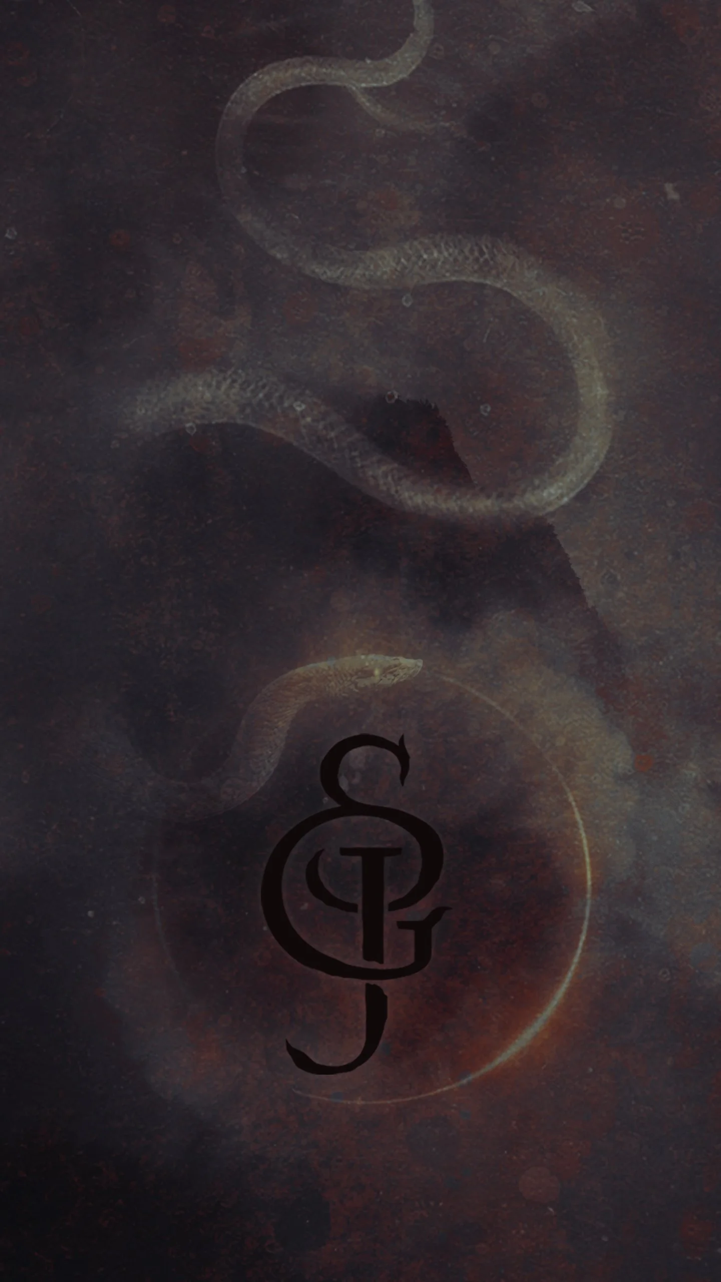 JUAN S GARCES - Personal Warfare - Vertical Wallpaper 6 by Lenore Ani 1440 X2560