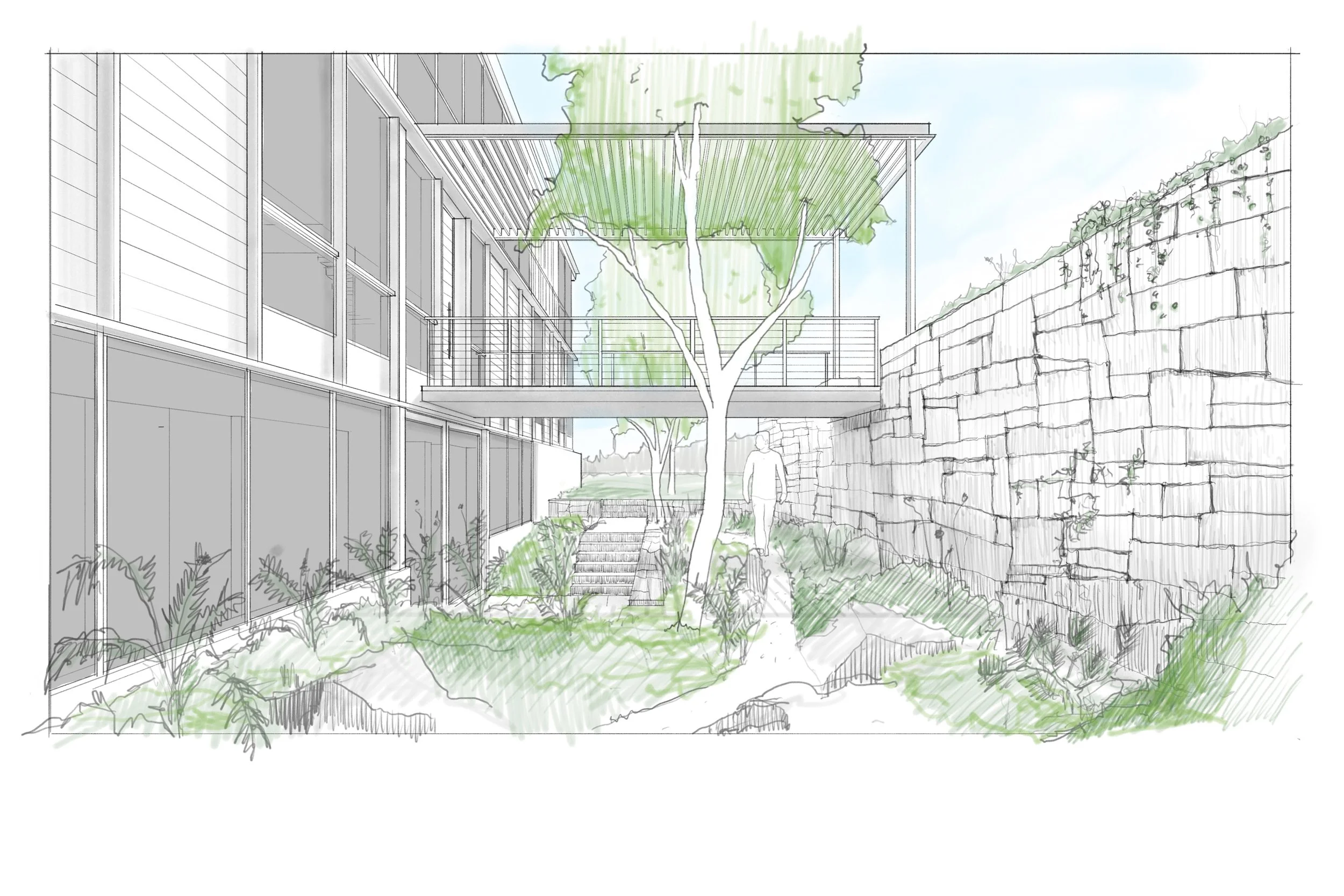 Hagerty Sketch_Courtyard Garden.jpg