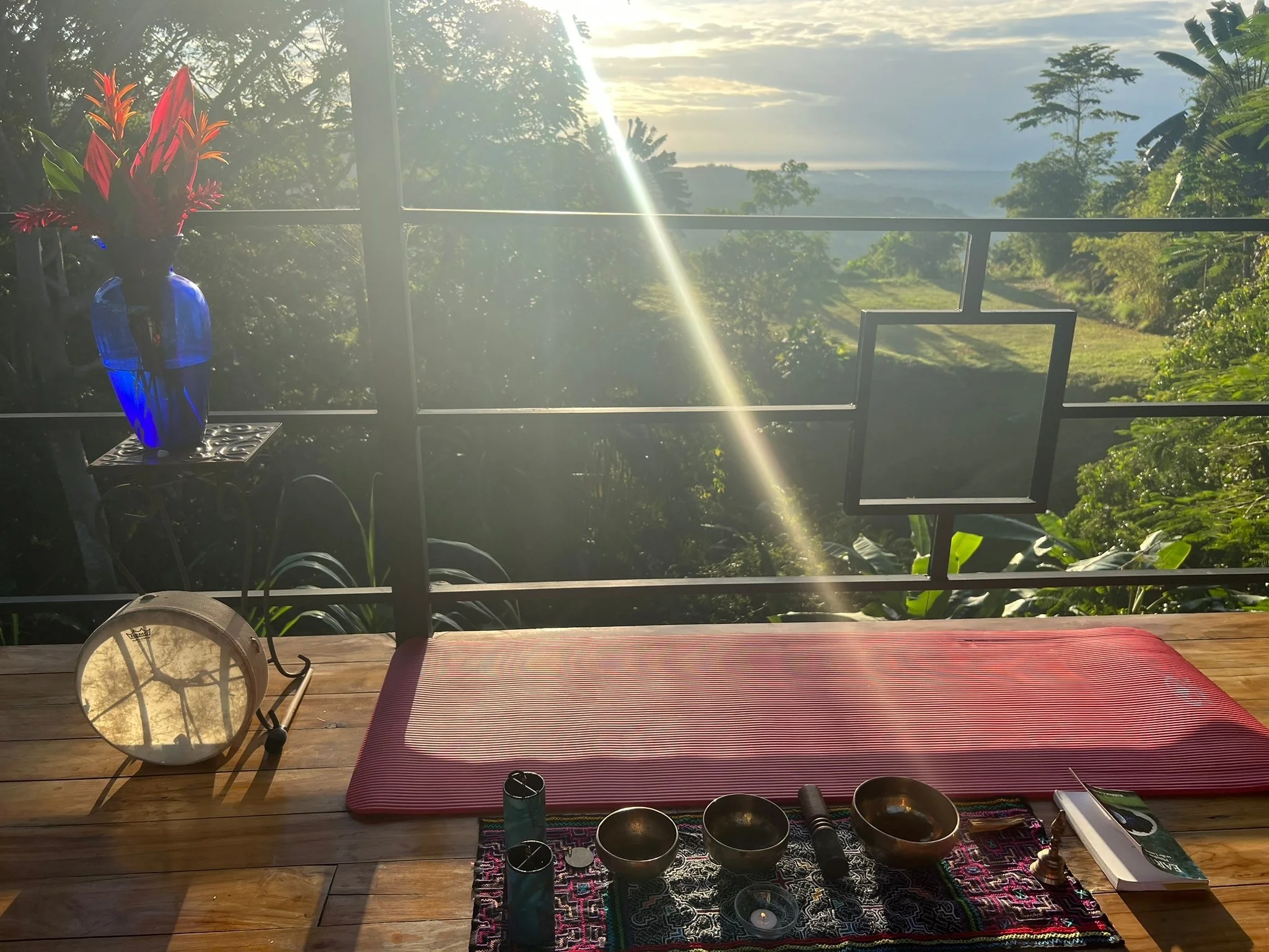 Costa_2022_Dec_ (11).JPG