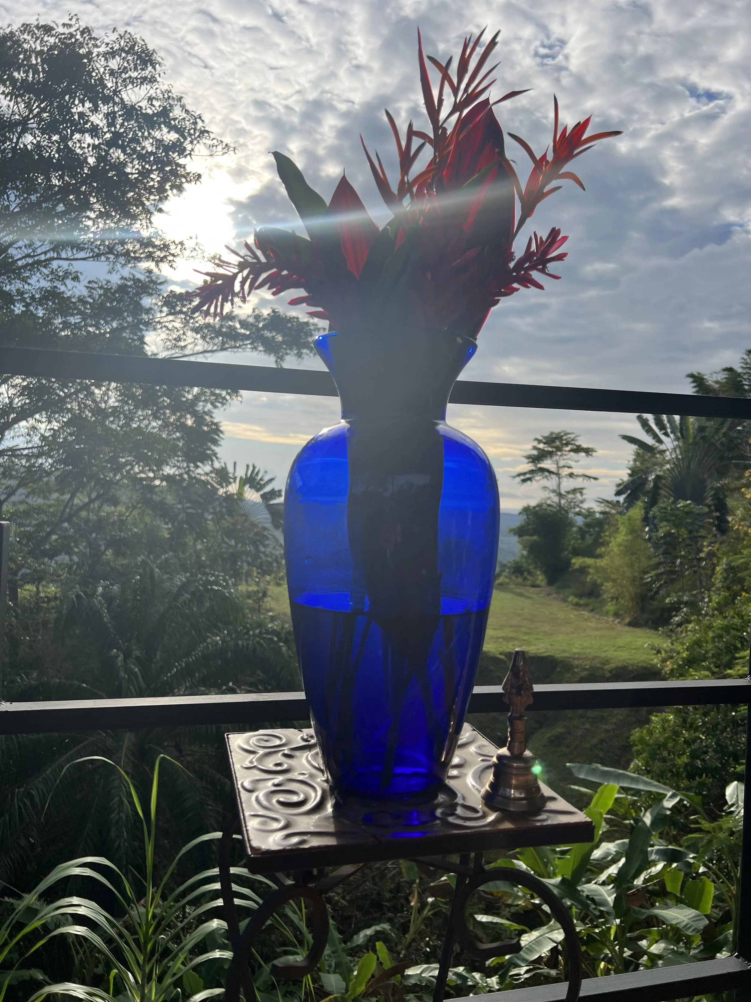 Costa_2022_Dec_ (94).JPG