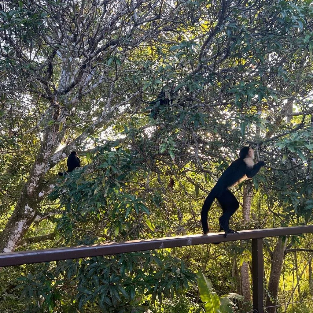 Costa_2022_Jun_ (82).JPG