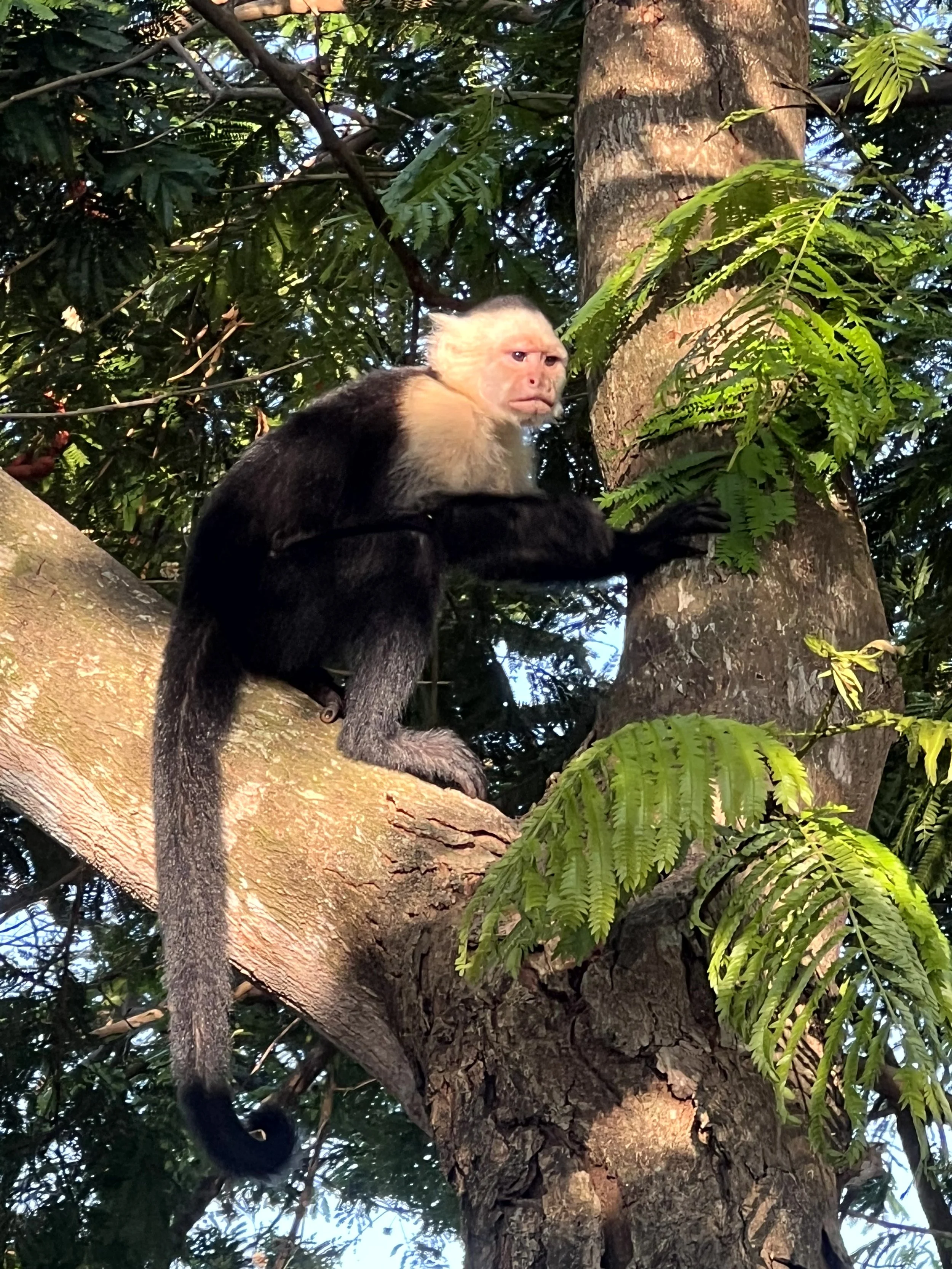 Costa_2023_April_22 (138).jpg