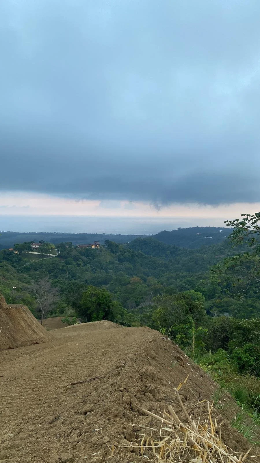 Costa_2022_Dec_ (9).JPG