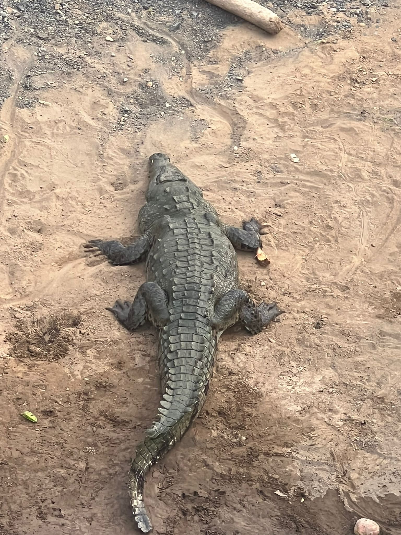 Costa_2022_Dec_ (8).JPG