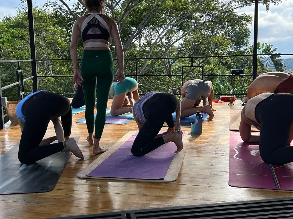 Costa_2022_Dec_ (26).JPG