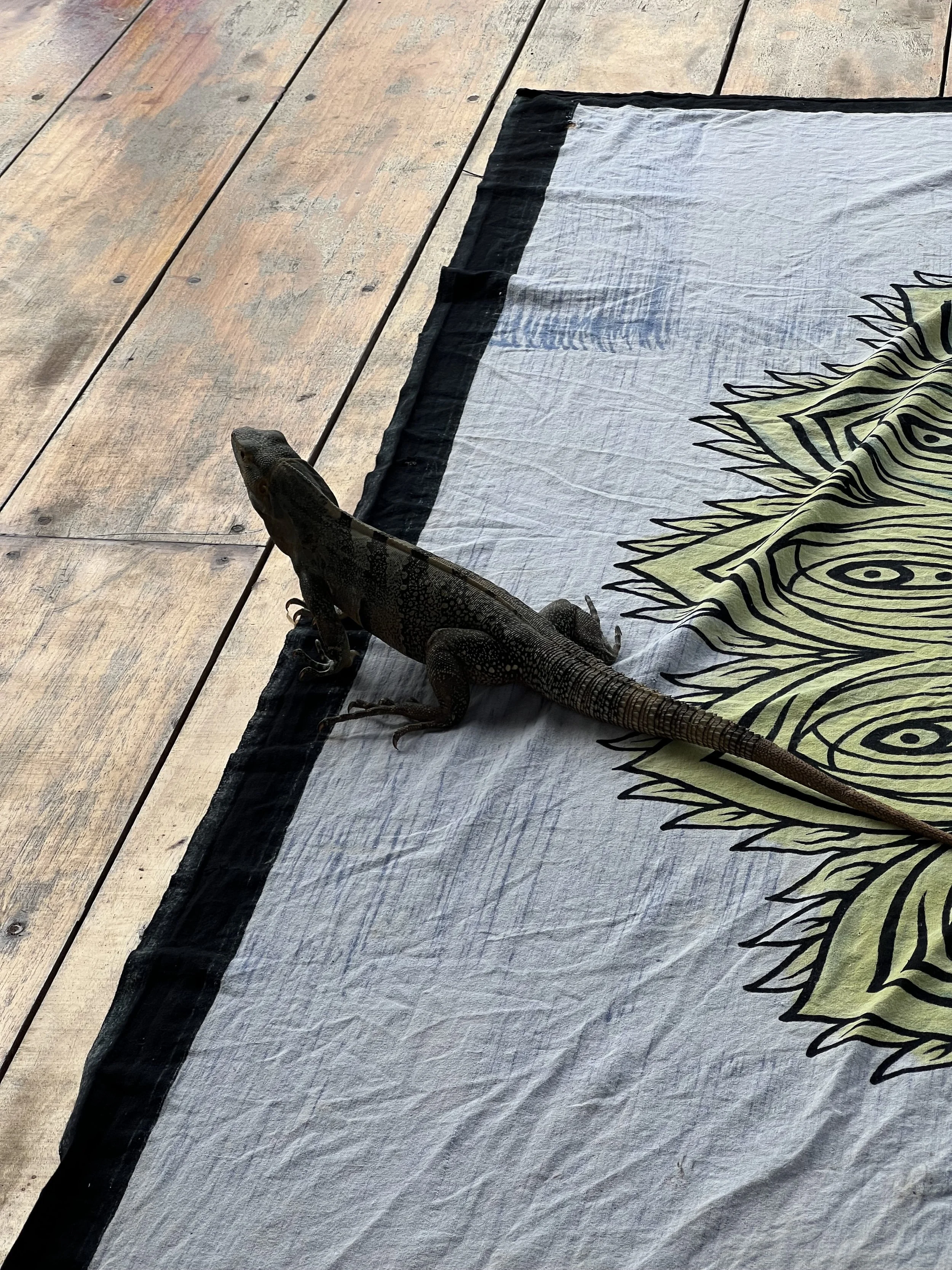 Costa_2022_Dec_ (127).JPG