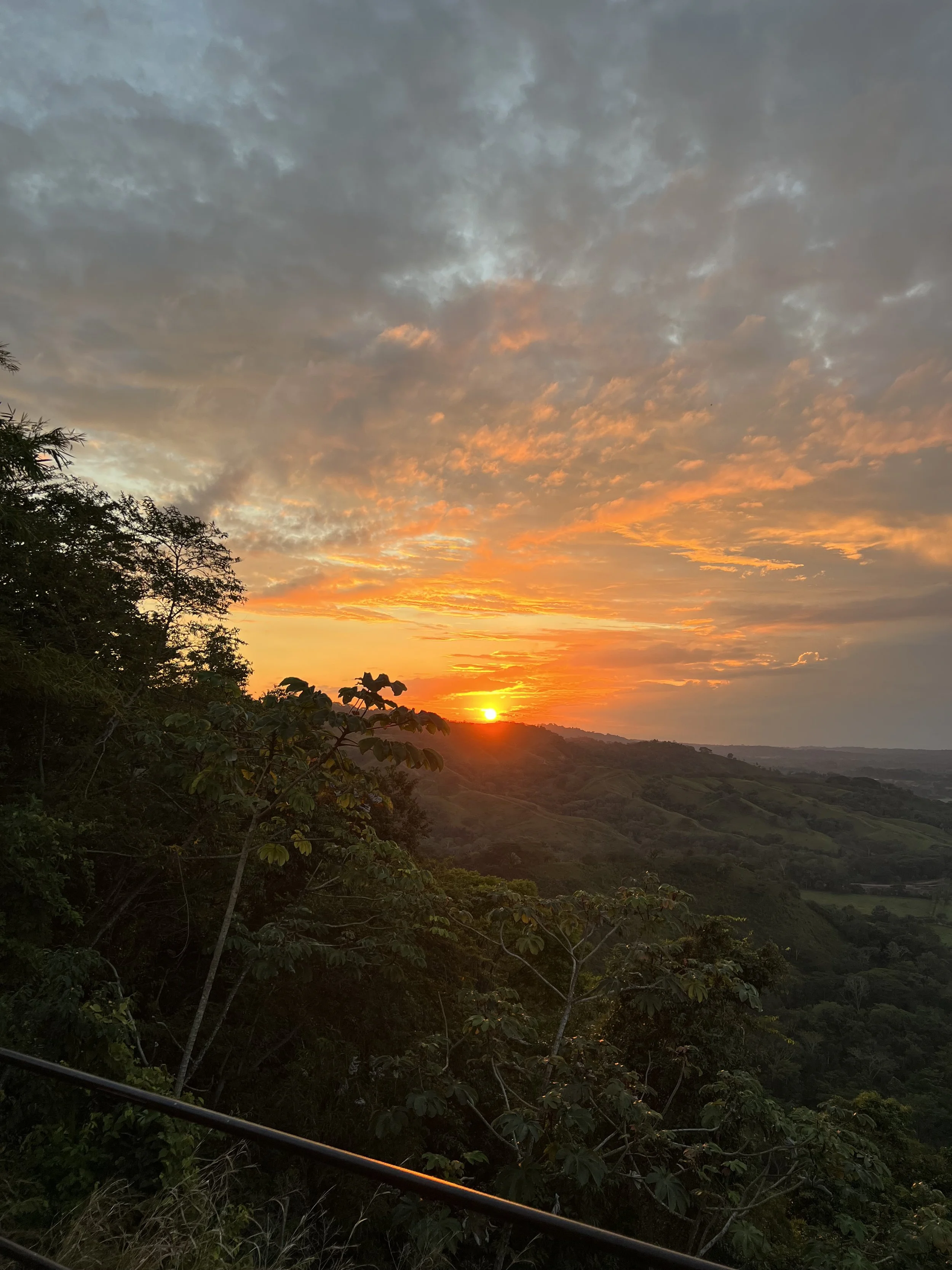 Costa_2022_Dec_ (131).JPG