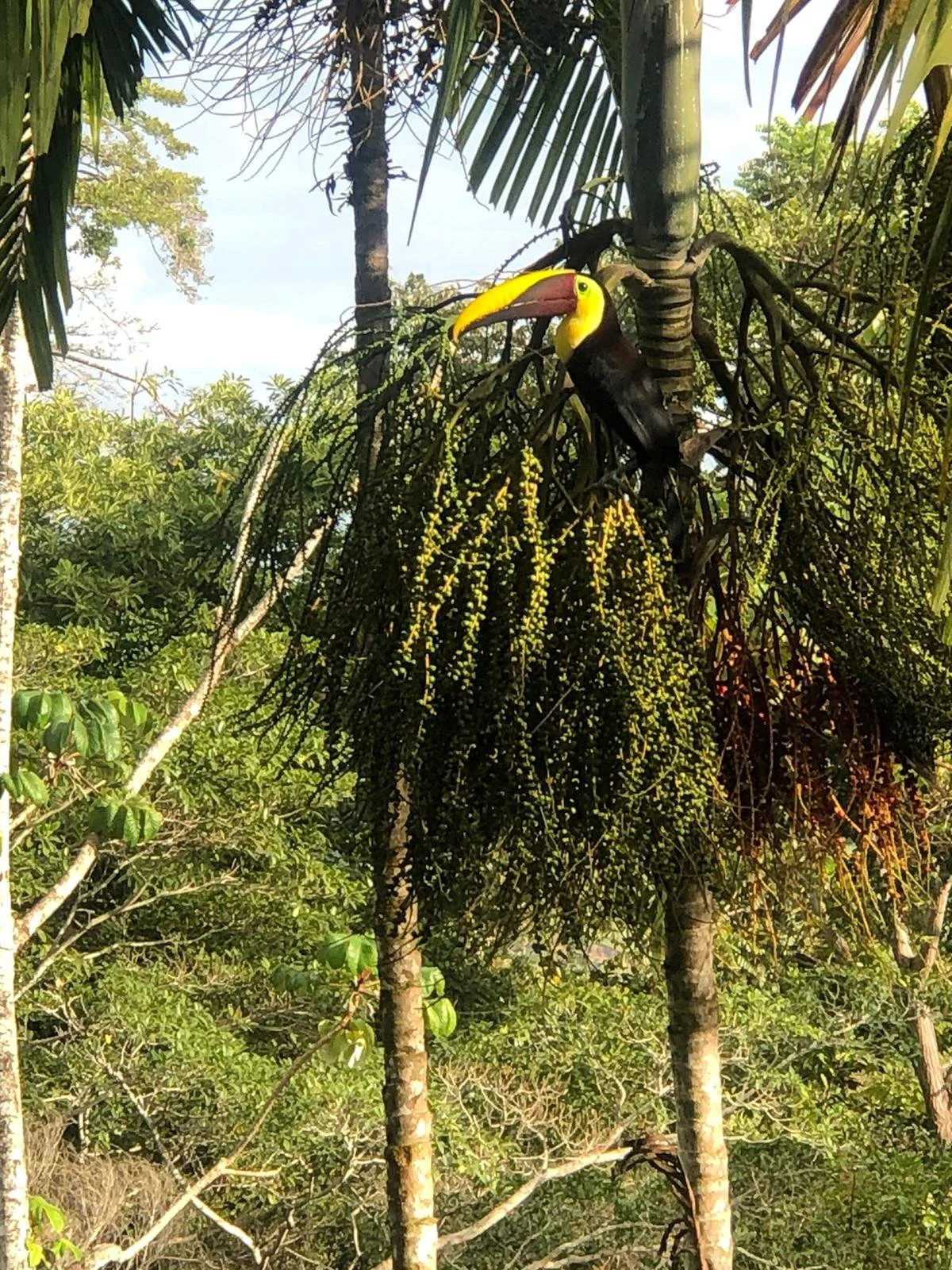 Costa_2022_Dec_ (95).JPG