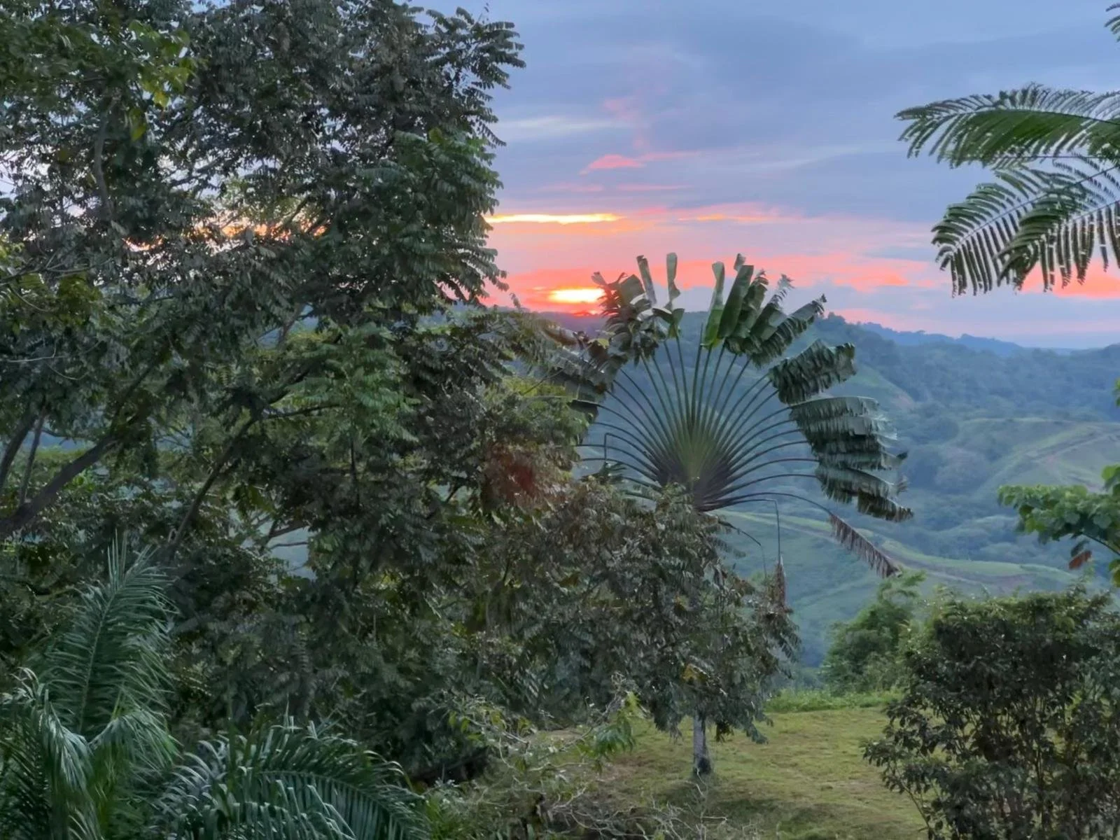 Costa_2022_Dec_ (10).JPG