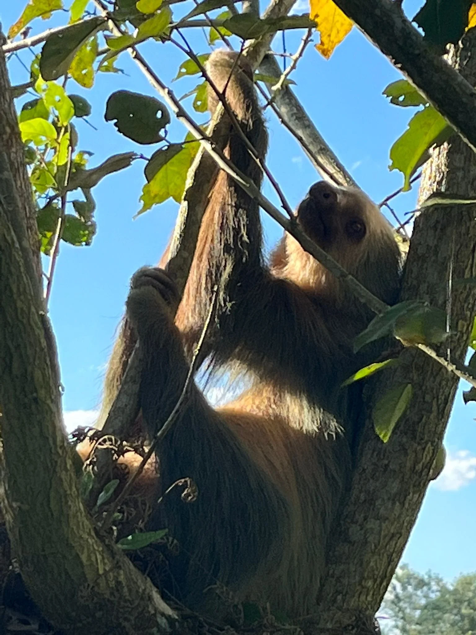 Costa_2022_Dec_ (89).JPG