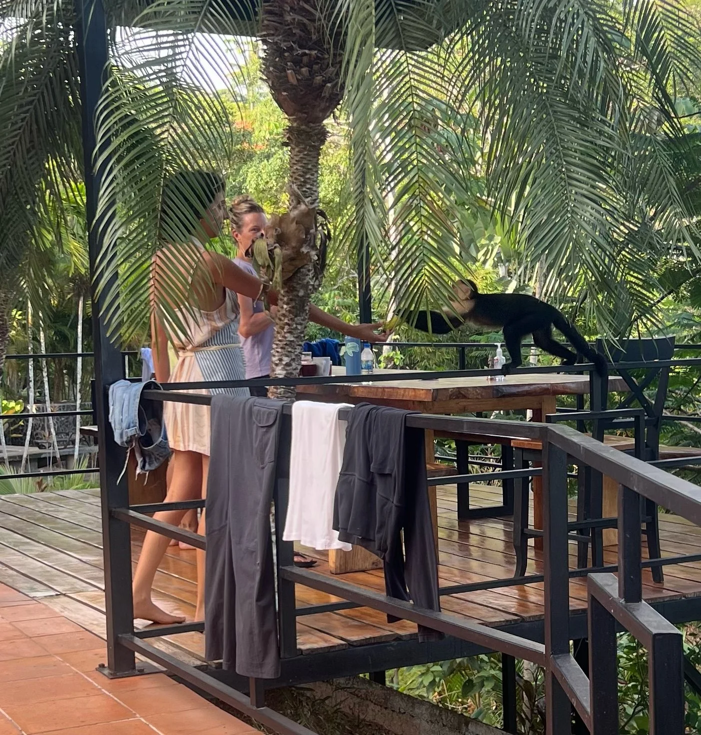 Costa_2022_Dec_ (87).JPG