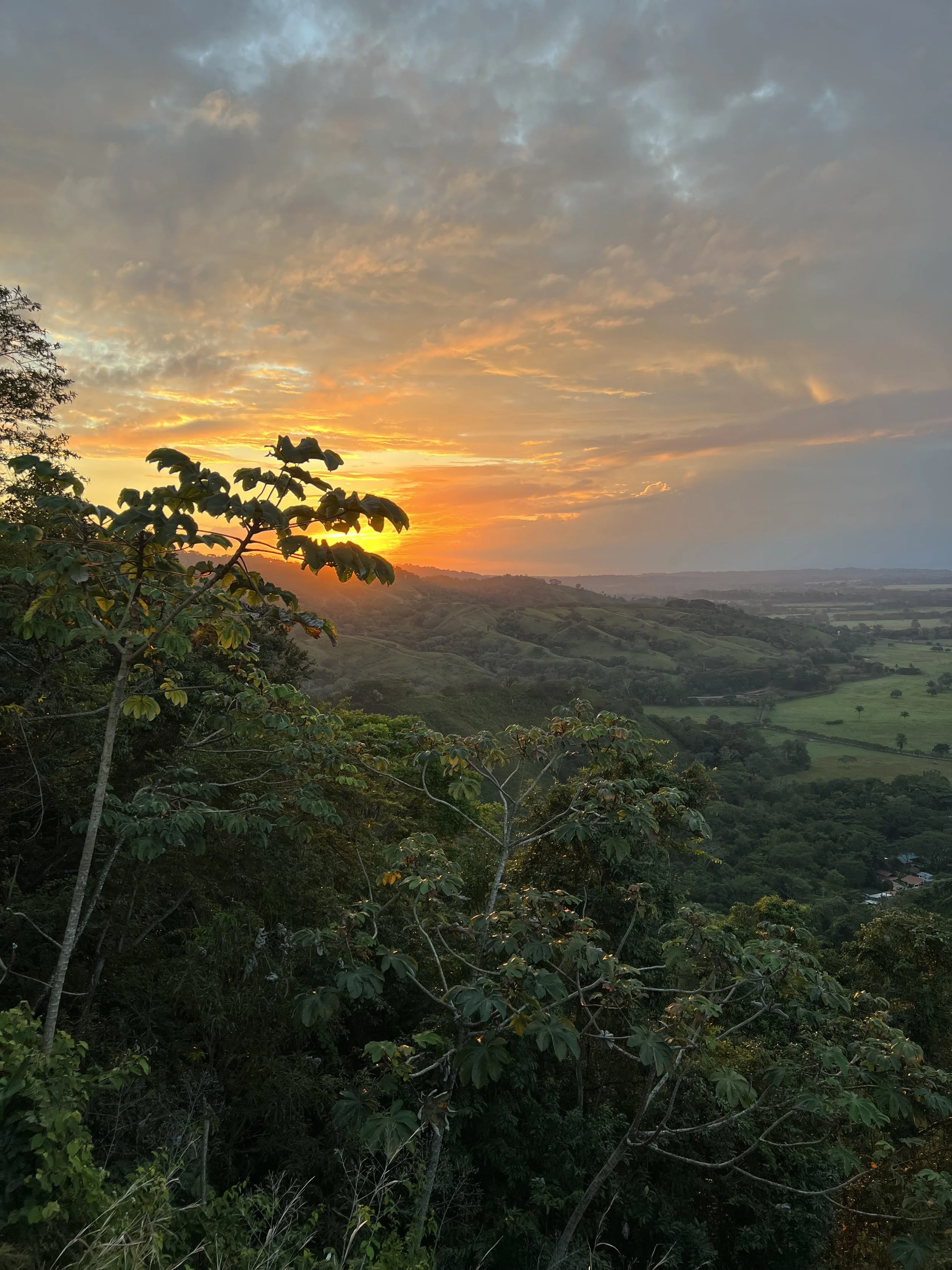 Costa_2022_Dec_ (130).JPG