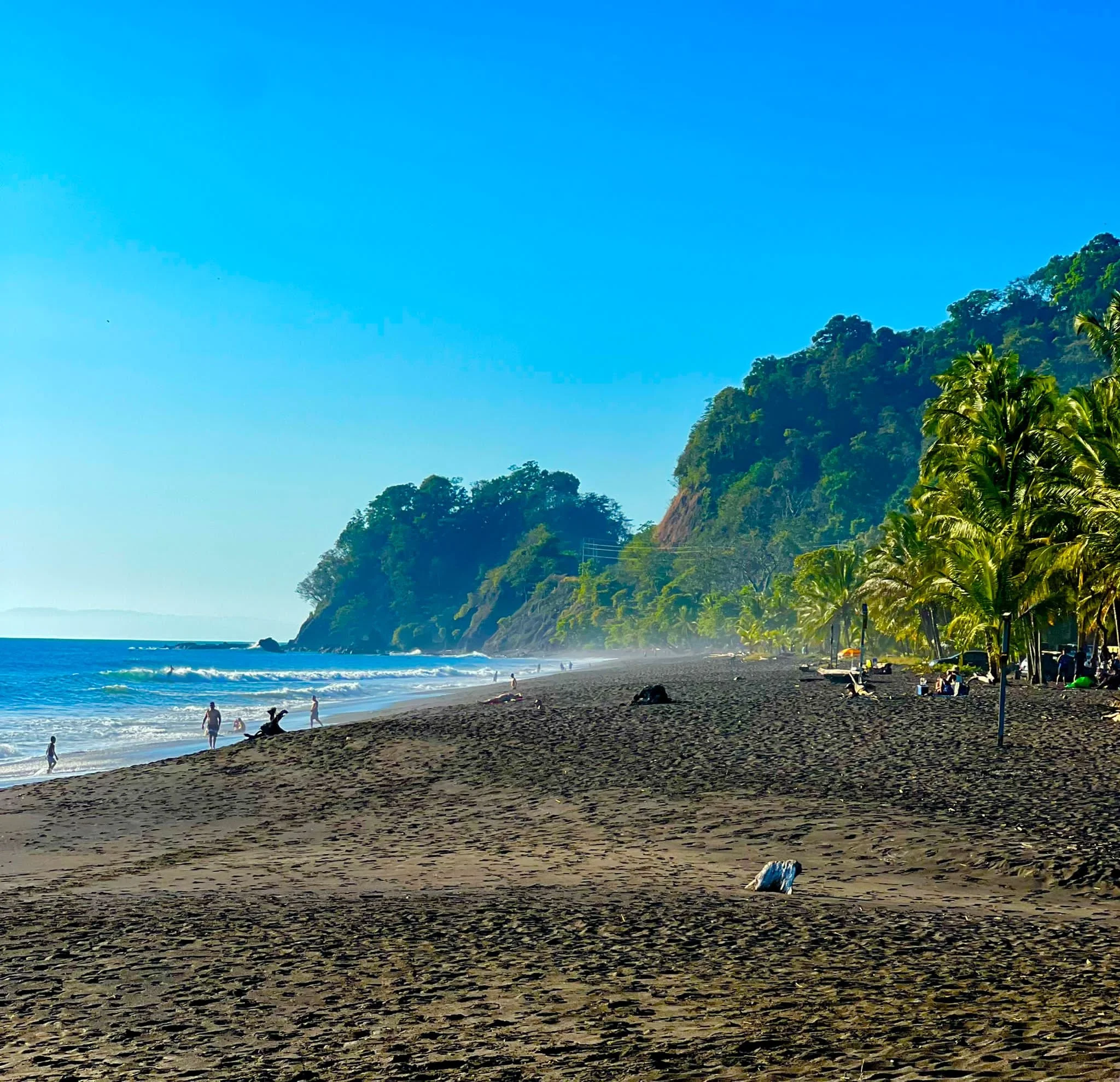 Costa_2022_Feb (54).jpg