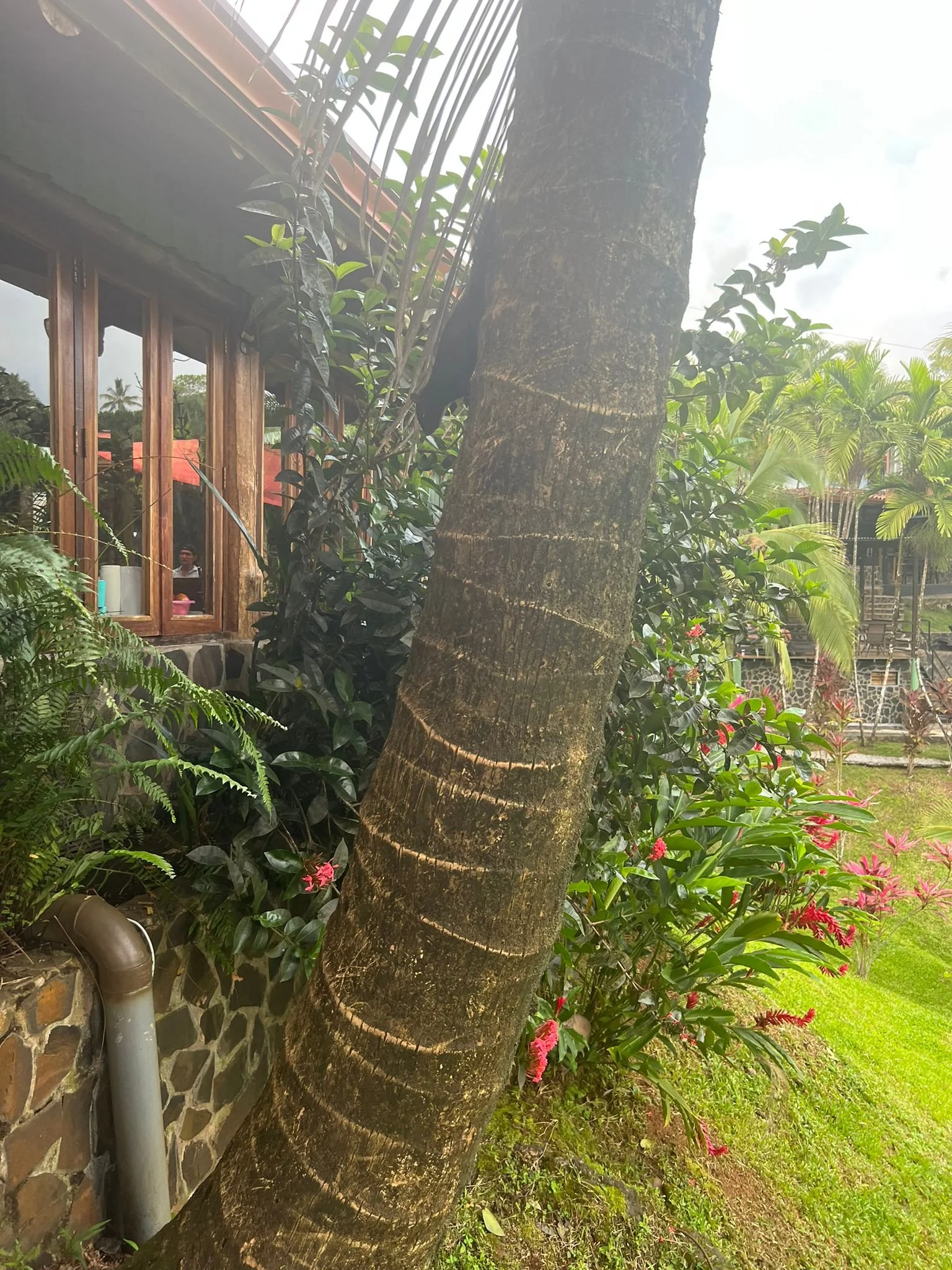 Costa_2022_Dec_ (103).JPG