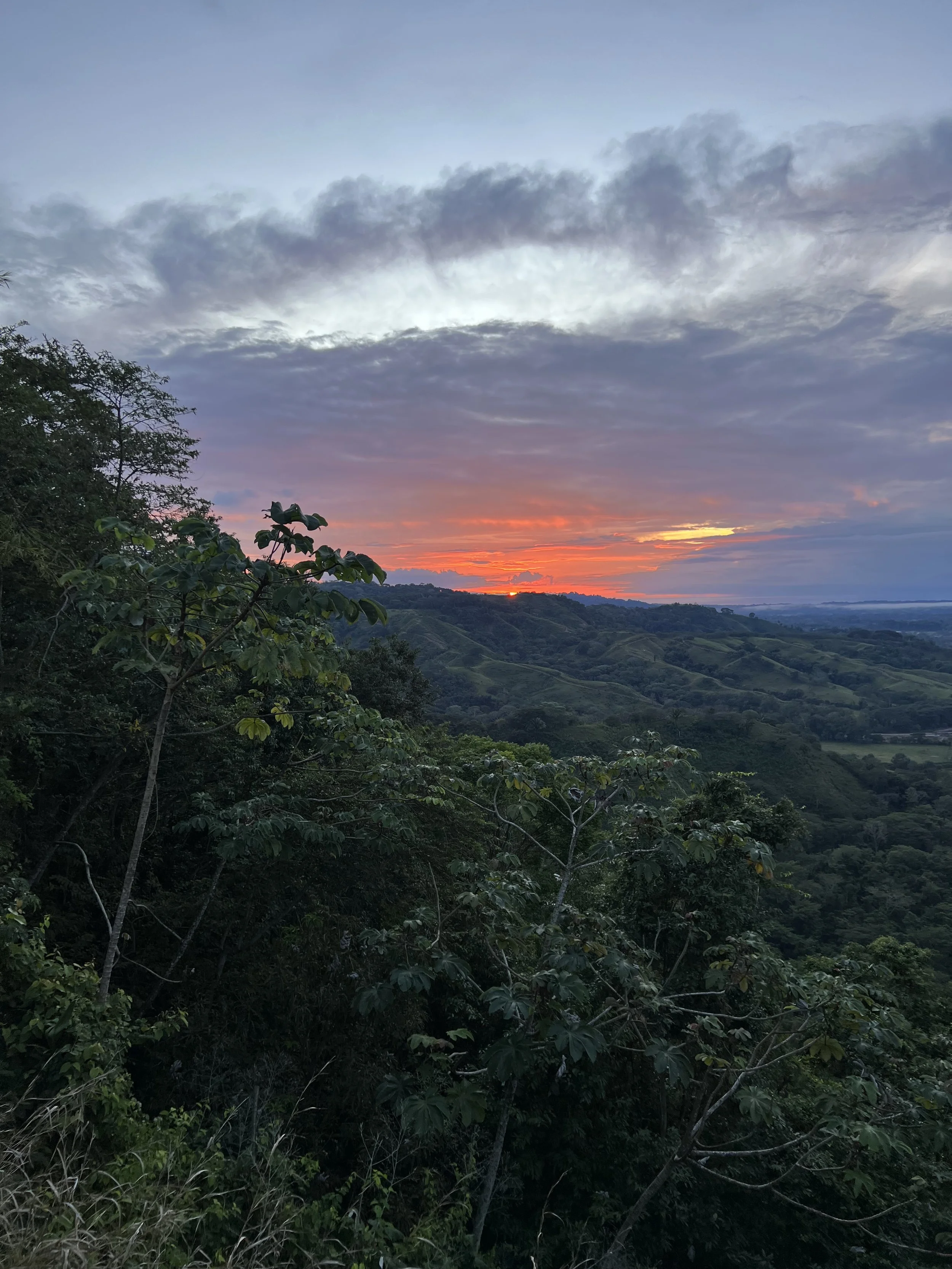 Costa_2022_Dec_ (93).JPG