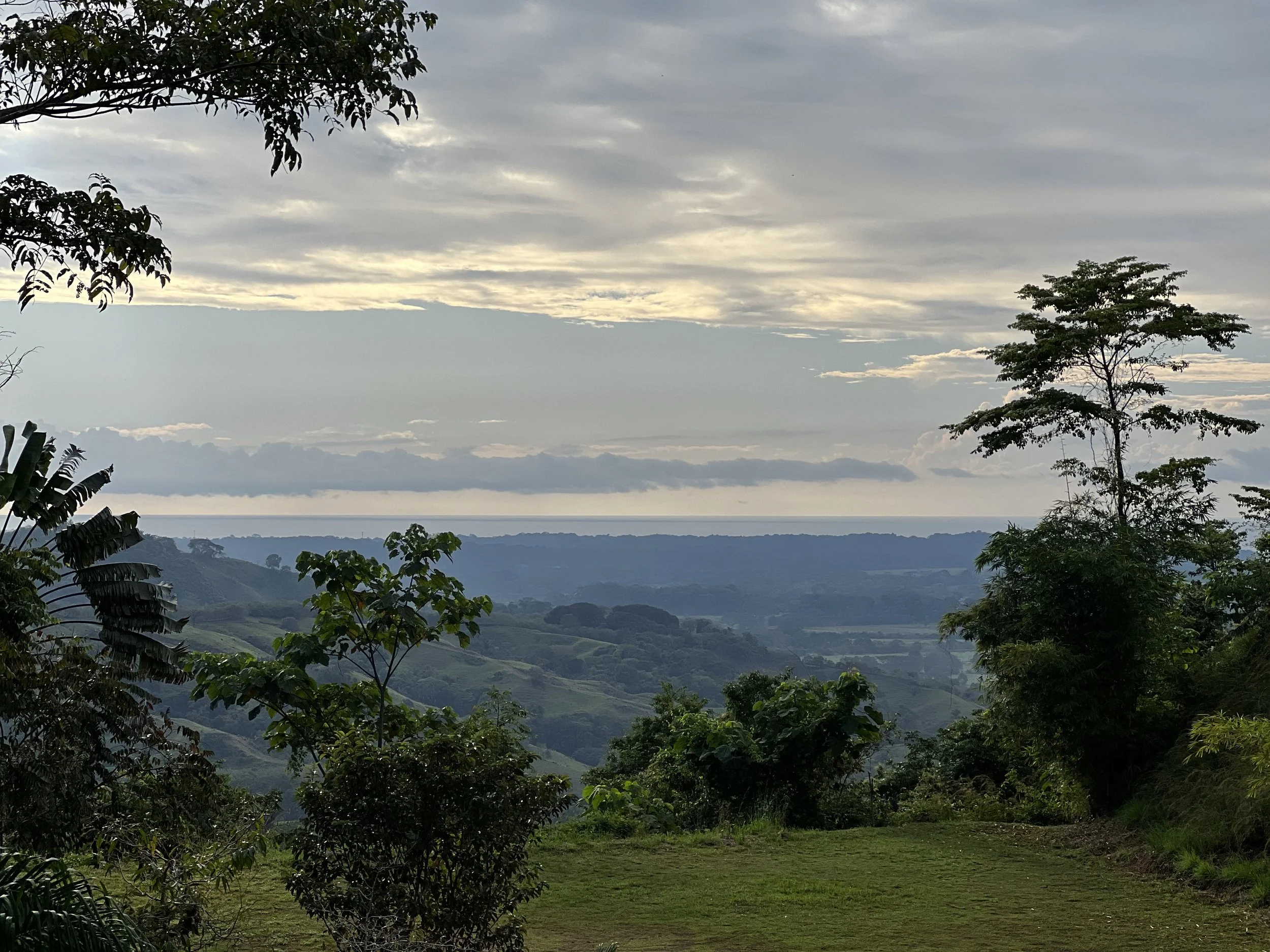 Costa_2022_Dec_ (104).JPG