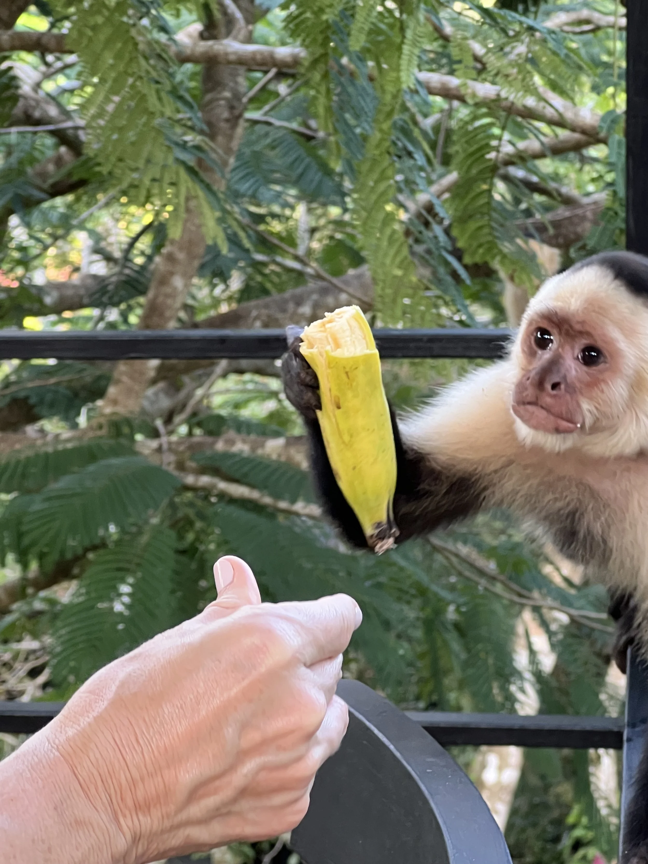 Costa_2022_Dec_ (92).JPG