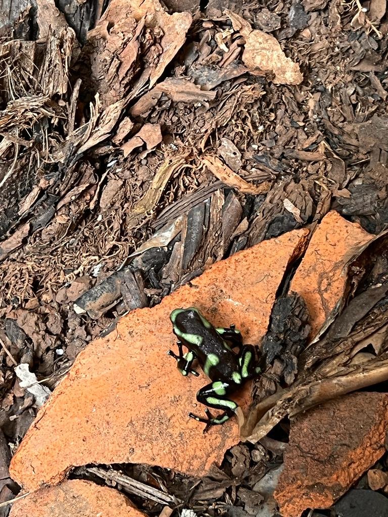 Costa_2023_April_22 (127).JPG