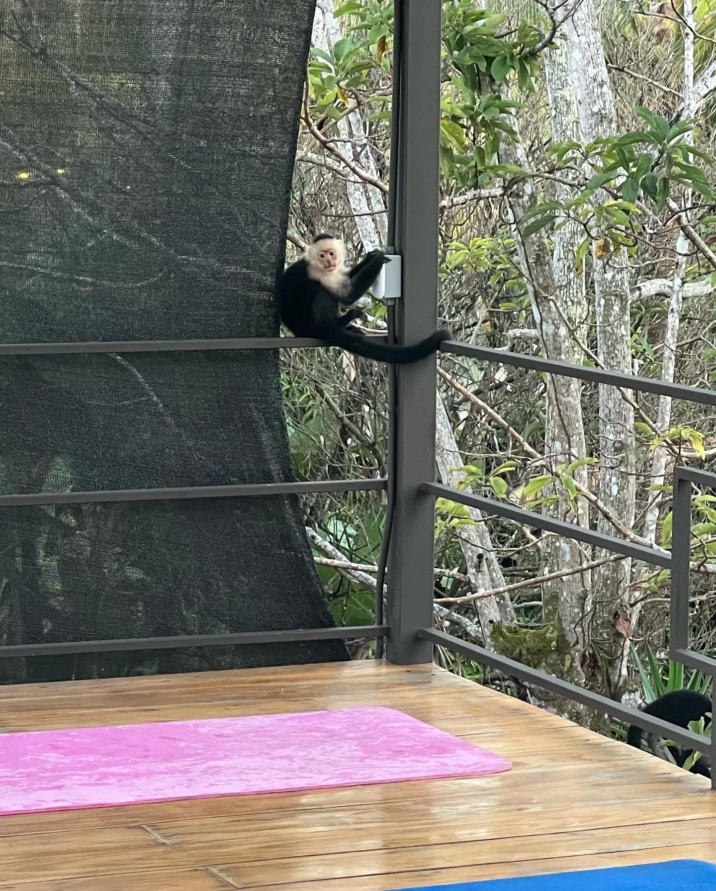 Costa_2022_Dec_ (88).JPG