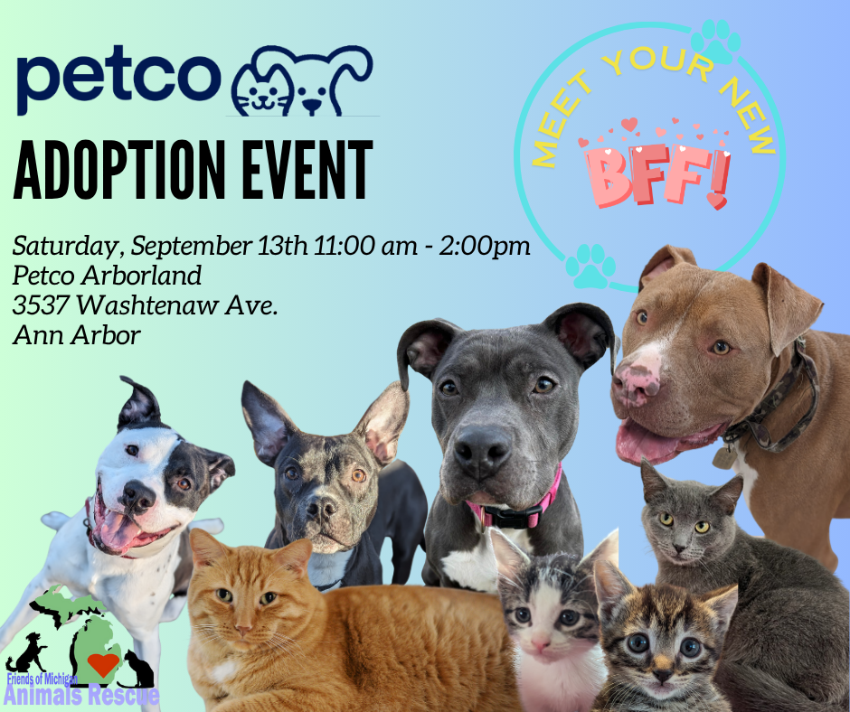 Petco Adoption Event
